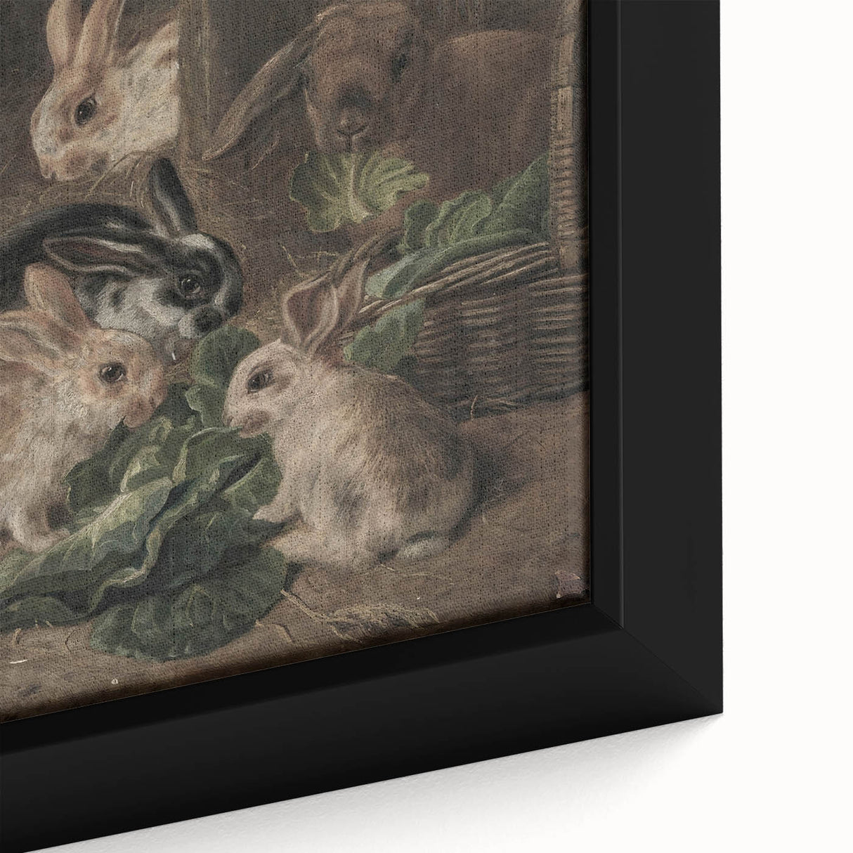 Vintage Animal Art - Rabbits Eating Cabbage Antique Wildlife Print