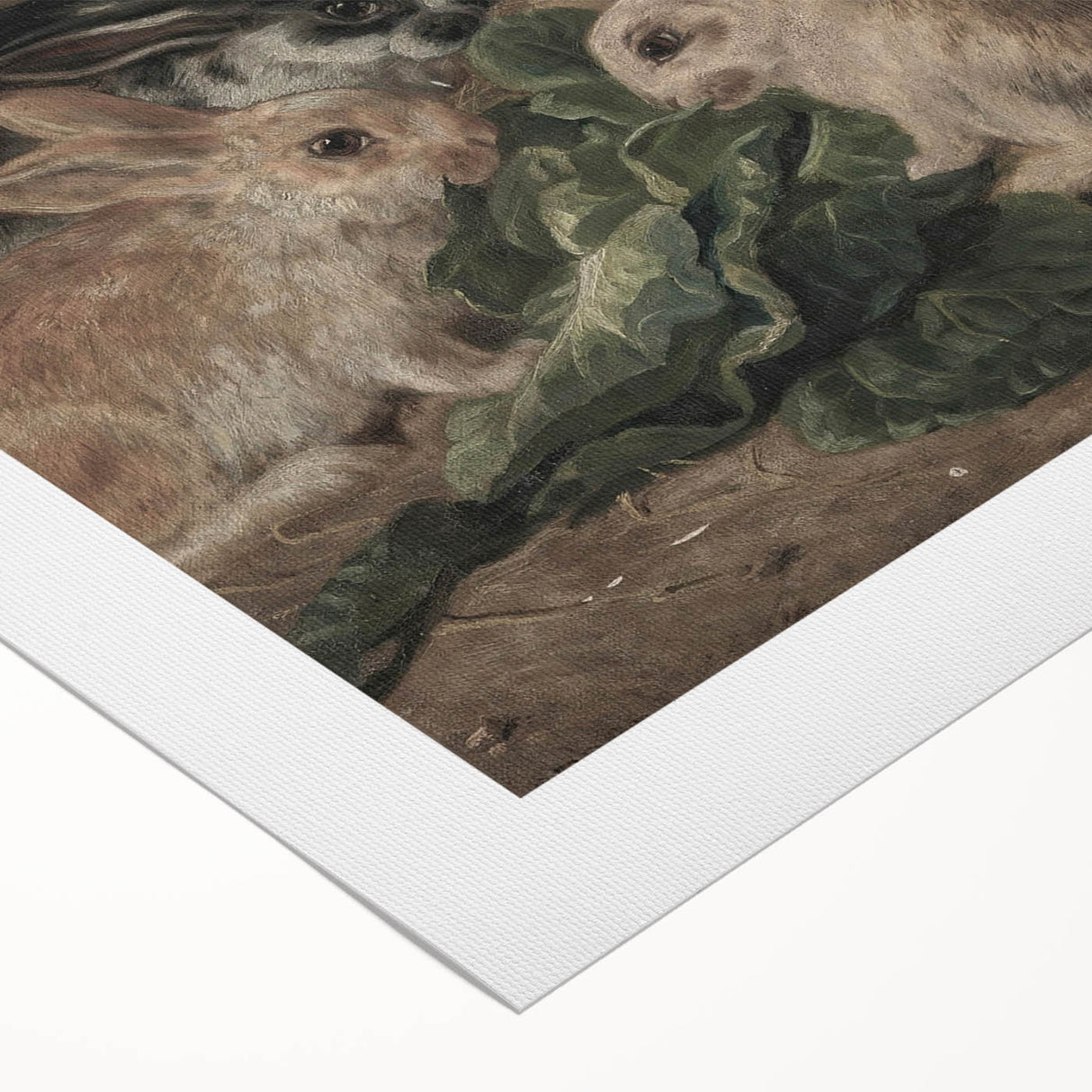 Vintage Animal Art - Rabbits Eating Cabbage Antique Wildlife Print