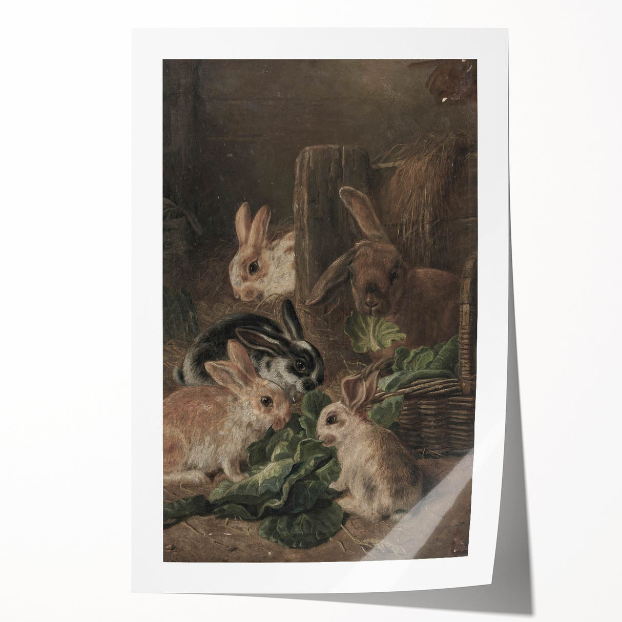 Vintage Animal Art - Rabbits Eating Cabbage Antique Wildlife Print
