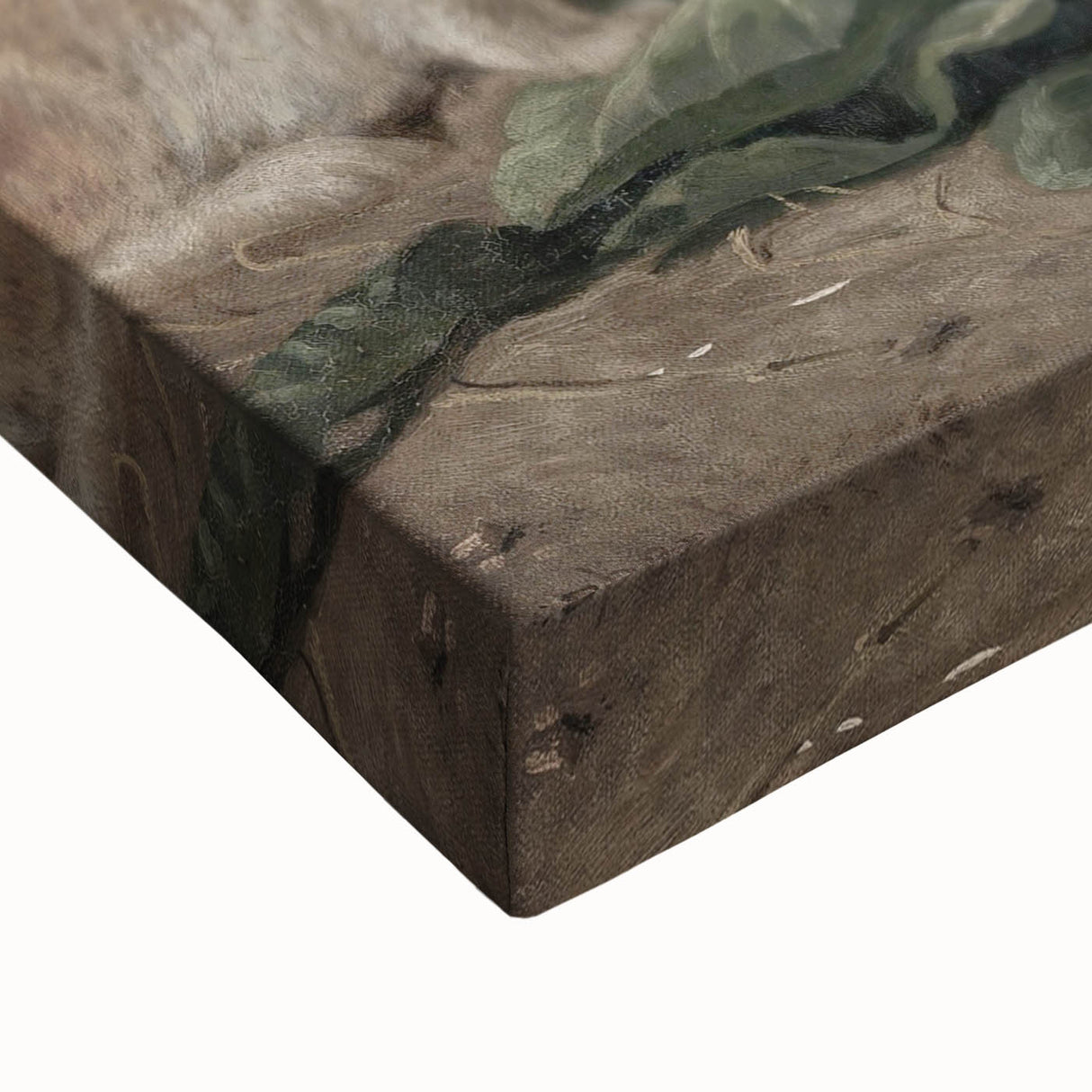 Vintage Animal Art - Rabbits Eating Cabbage Antique Wildlife Print