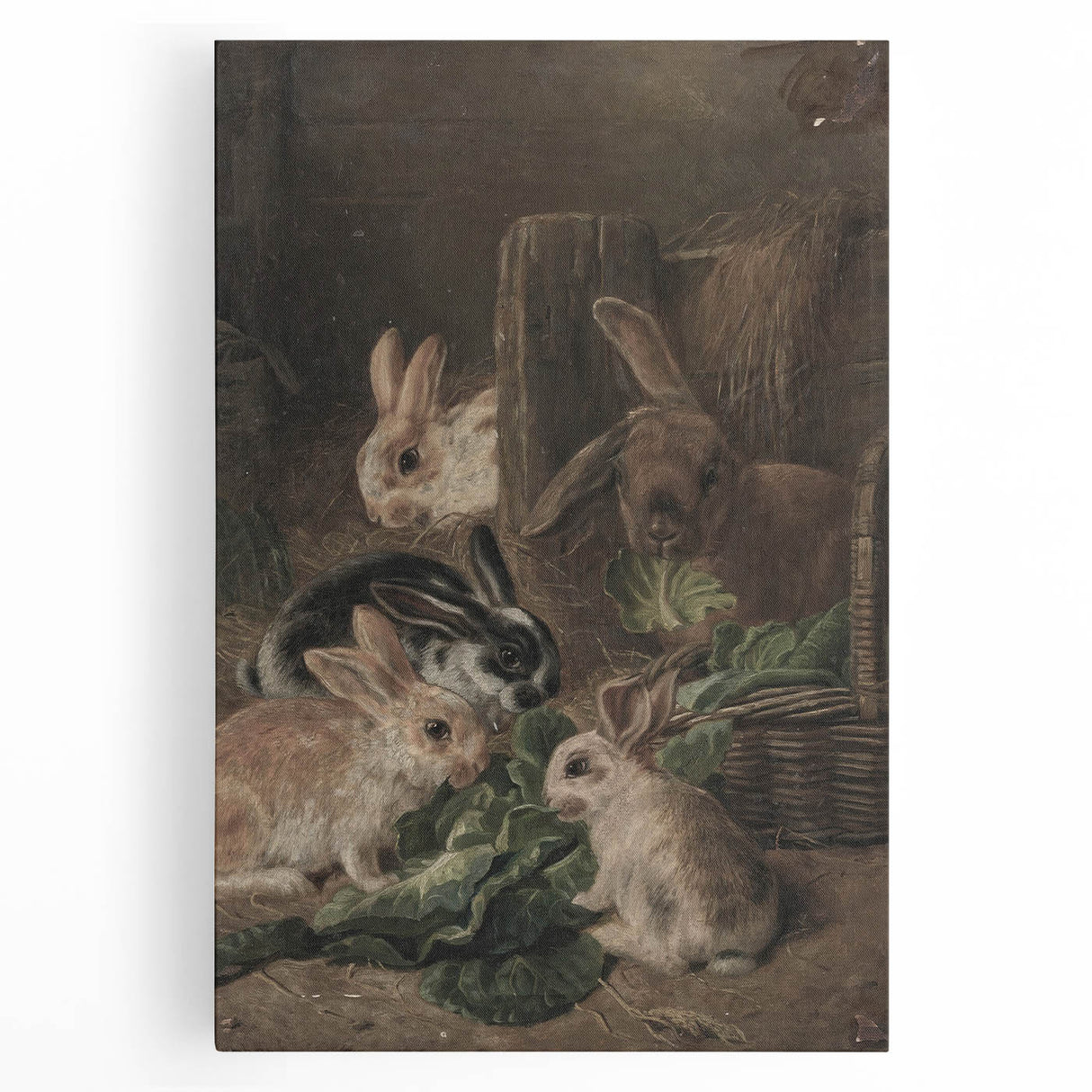 Vintage Animal Art - Rabbits Eating Cabbage Antique Wildlife Print