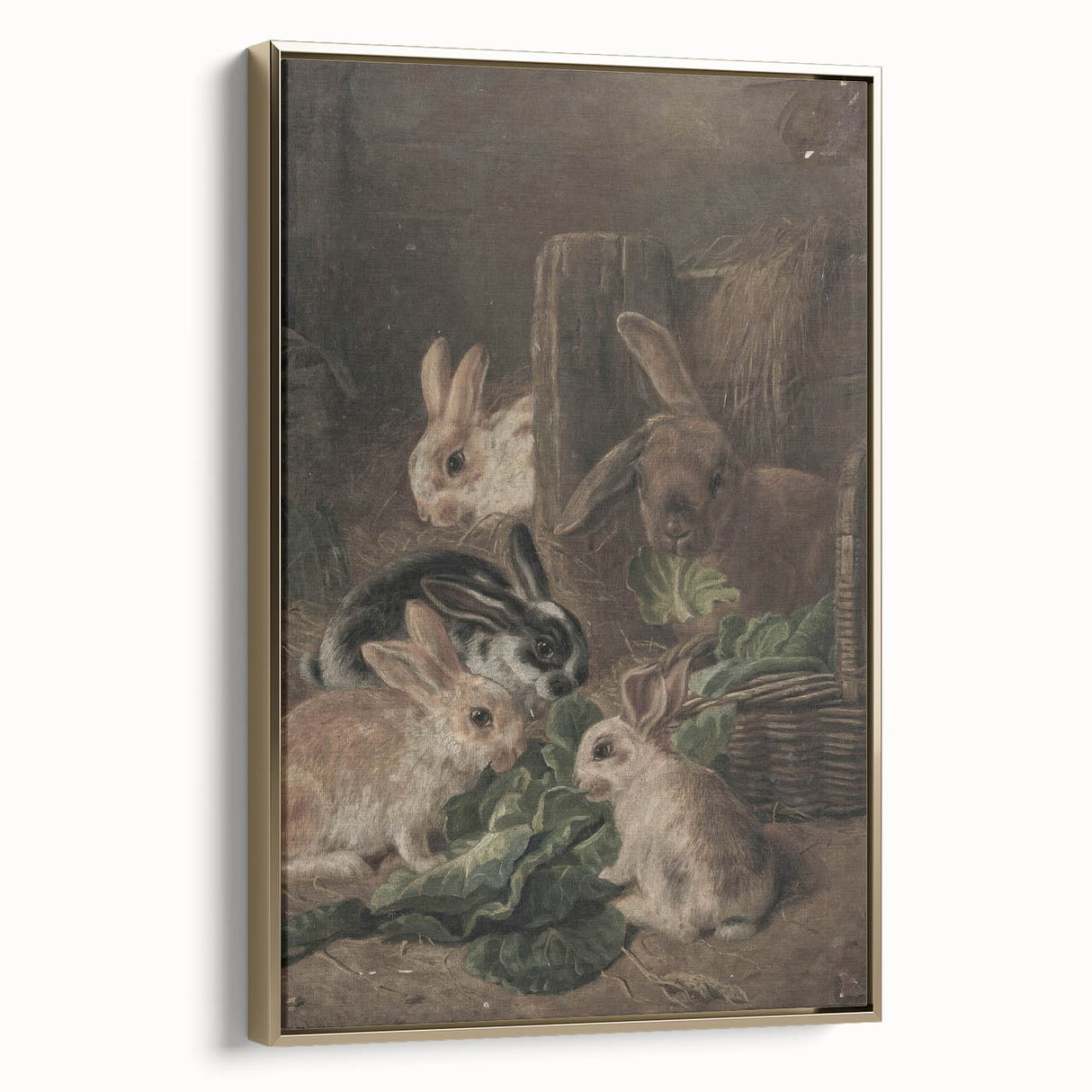 Vintage Animal Art - Rabbits Eating Cabbage Antique Wildlife Print