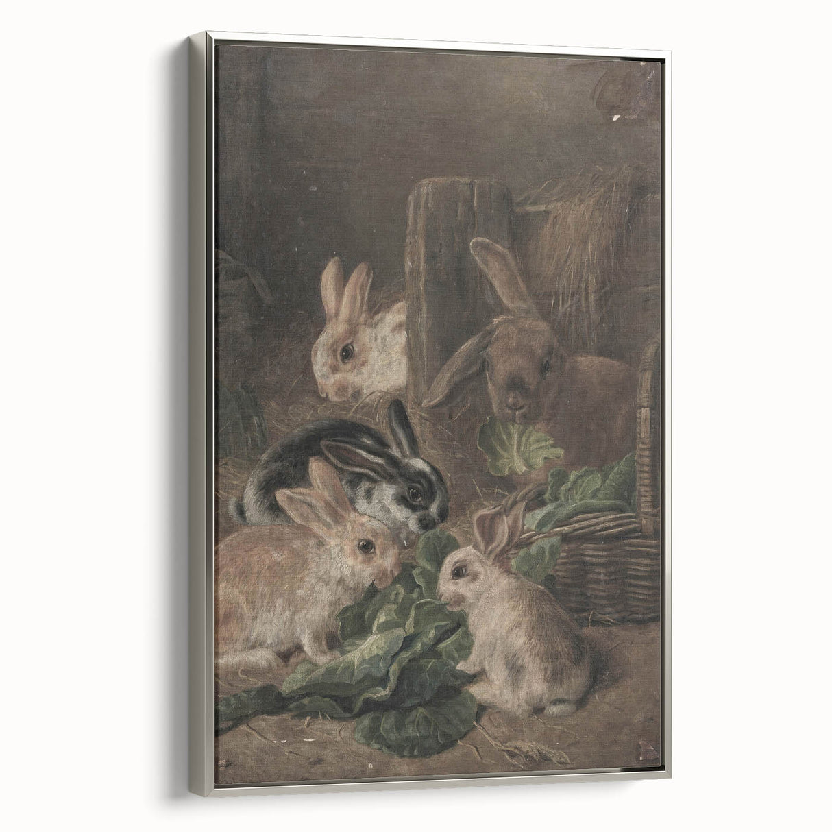 Vintage Animal Art - Rabbits Eating Cabbage Antique Wildlife Print