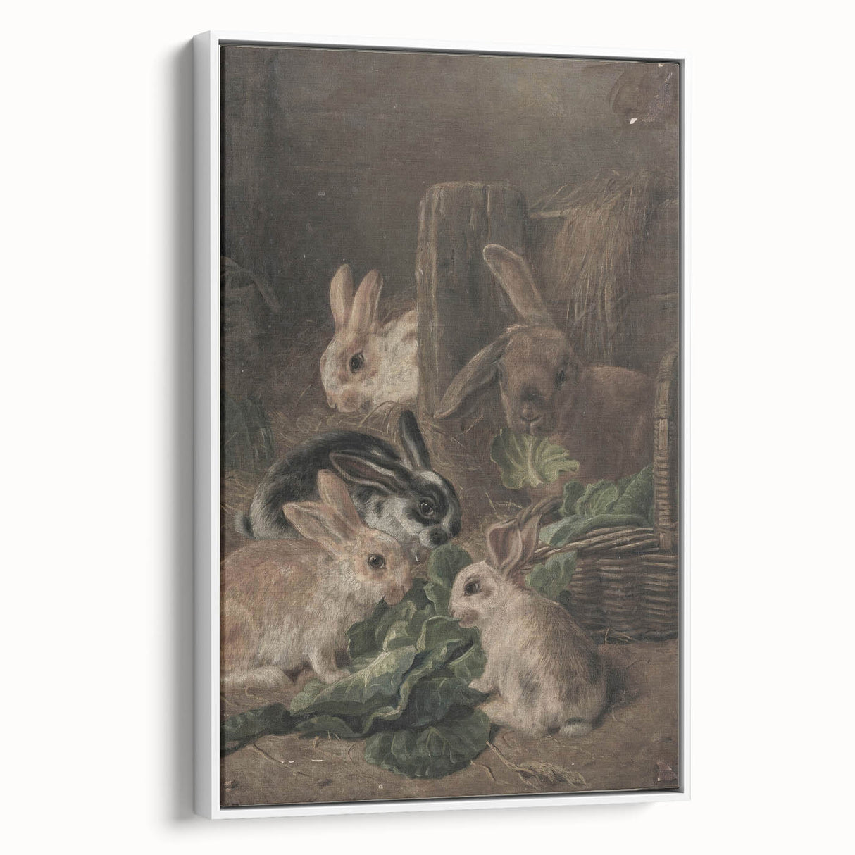 Vintage Animal Art - Rabbits Eating Cabbage Antique Wildlife Print