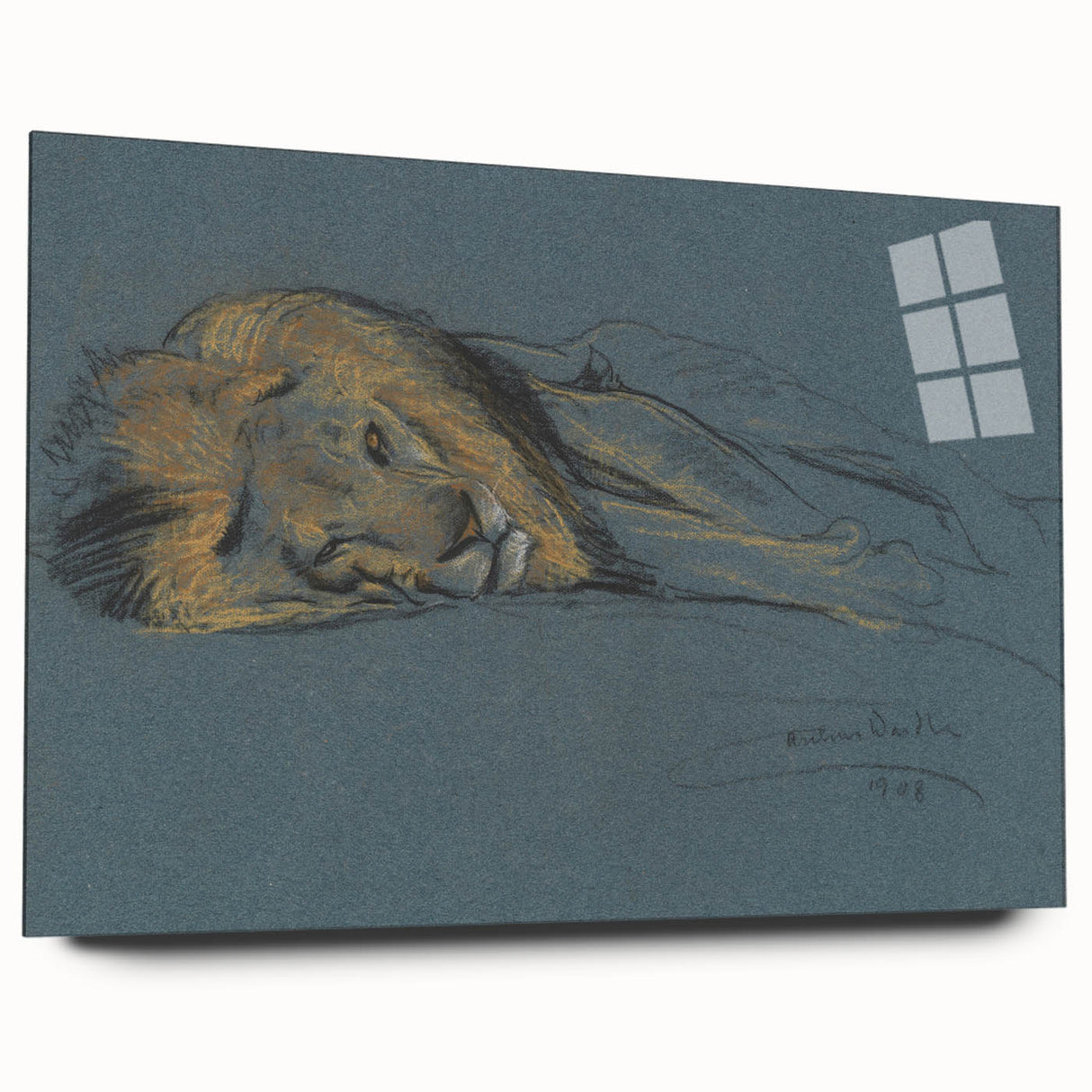 Vintage Animal Art - Resting Lion Antique Wildlife Sketch