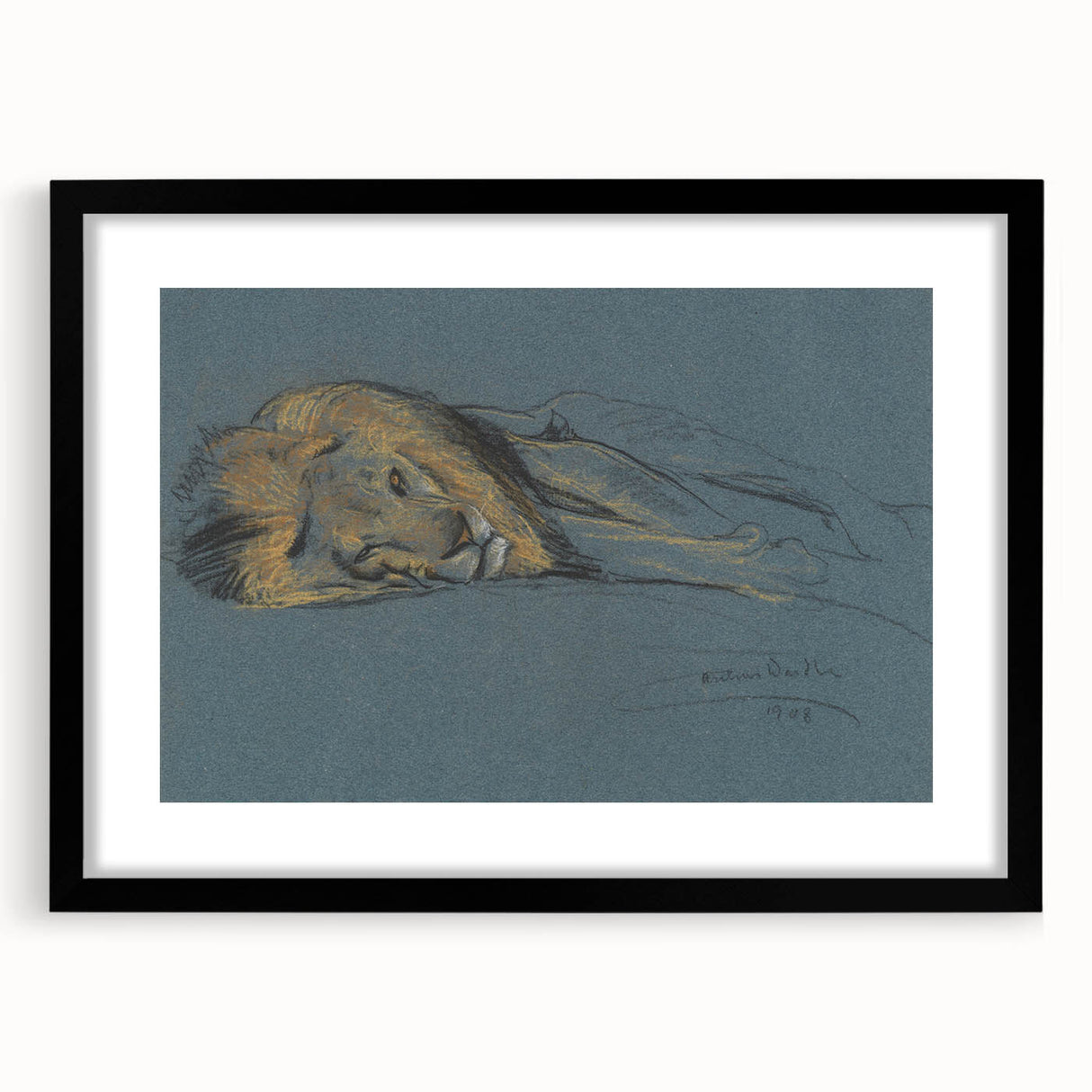 Vintage Animal Art - Resting Lion Antique Wildlife Sketch