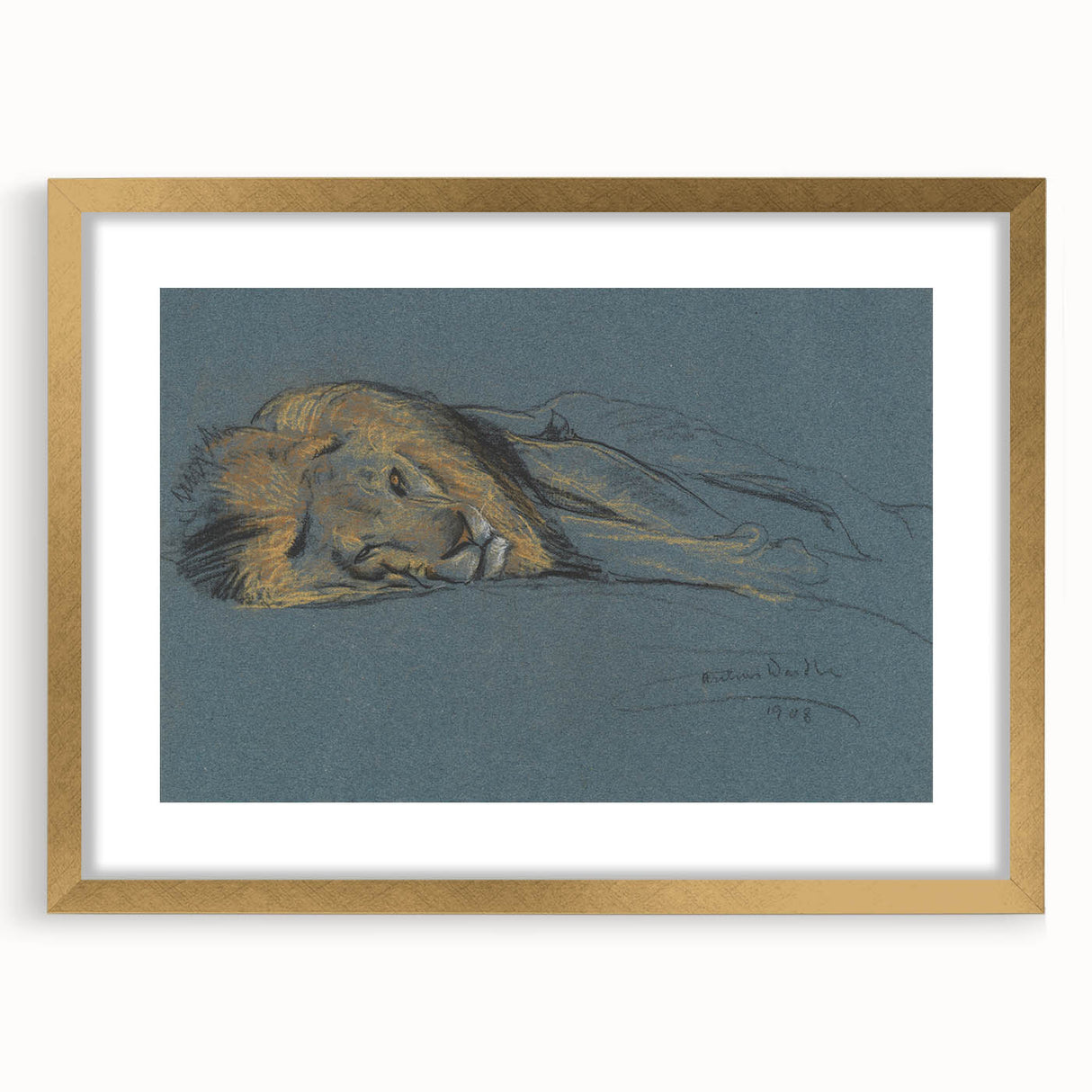 Vintage Animal Art - Resting Lion Antique Wildlife Sketch