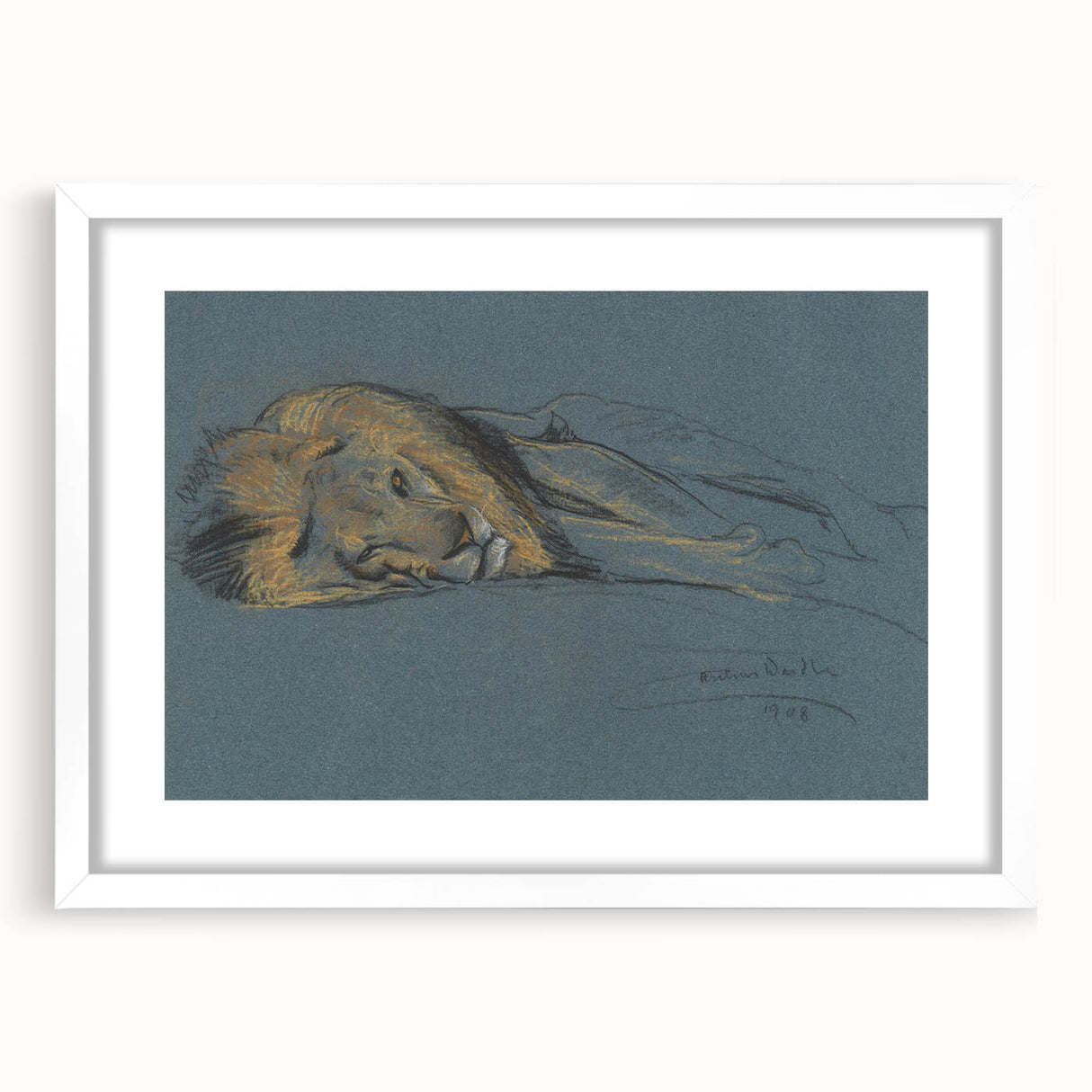 Vintage Animal Art - Resting Lion Antique Wildlife Sketch