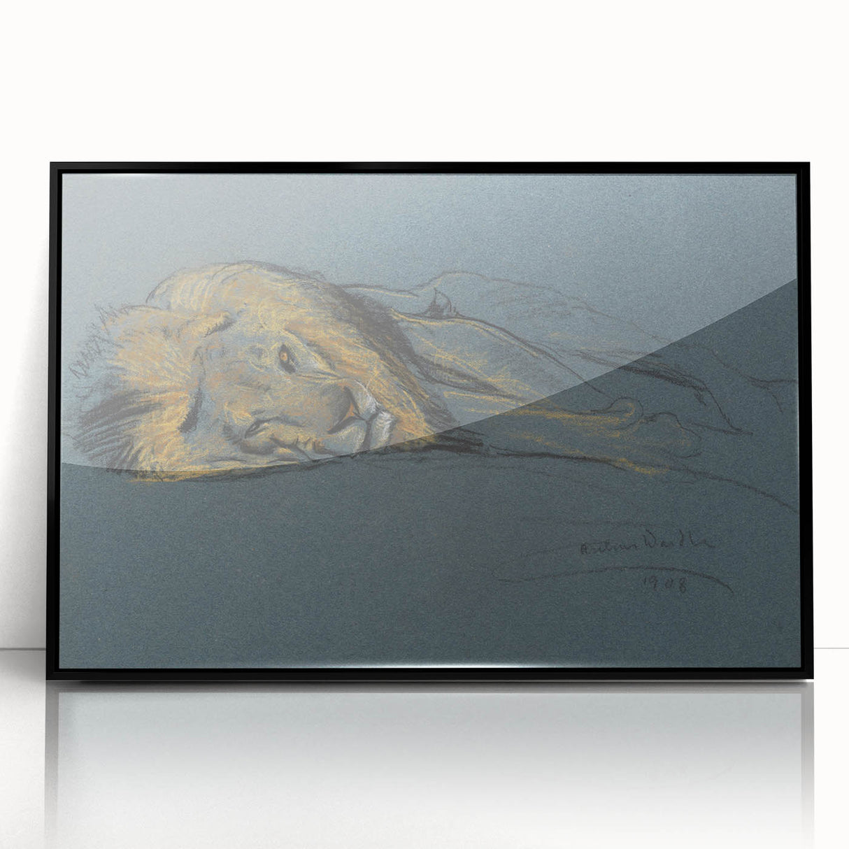 Vintage Animal Art - Resting Lion Antique Wildlife Sketch