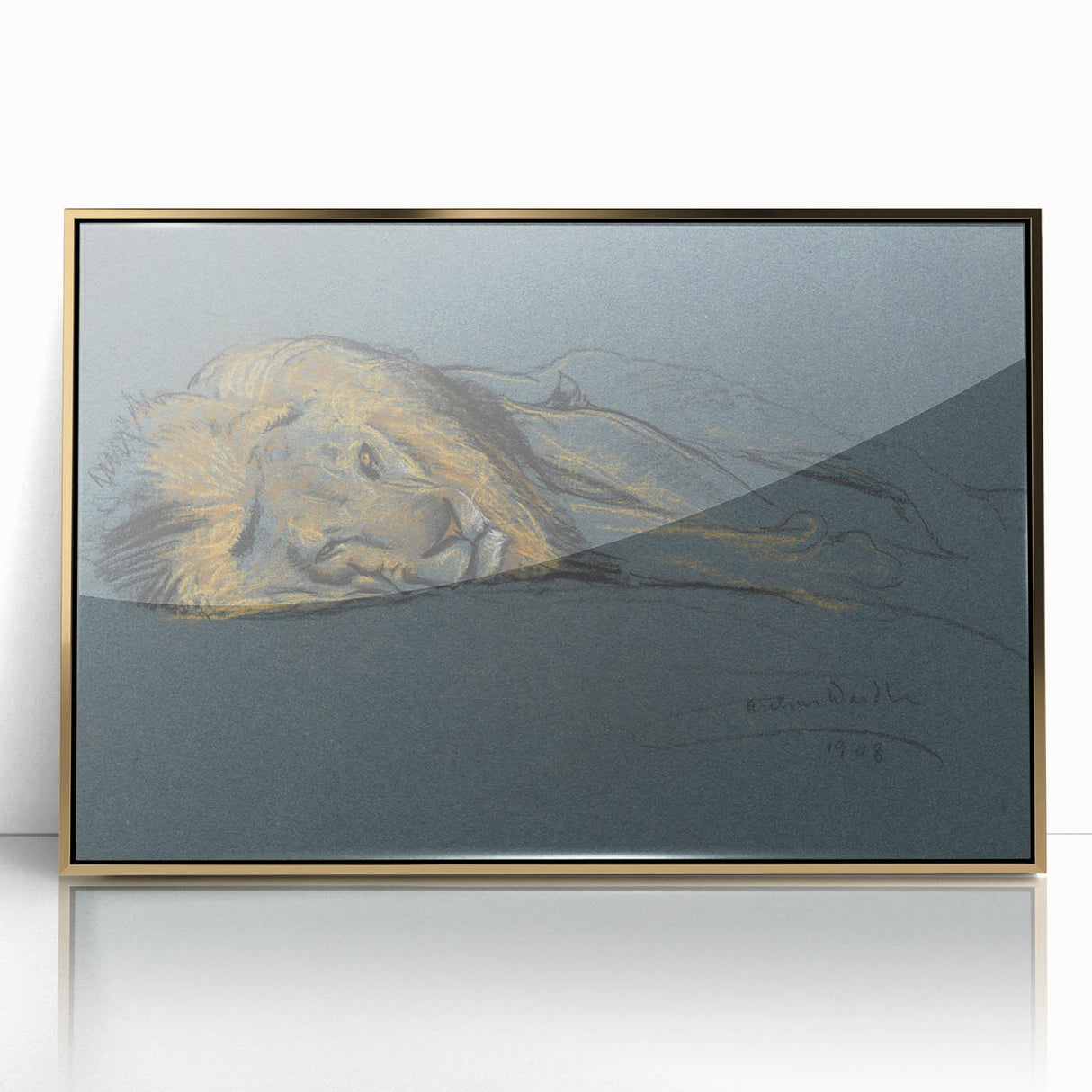 Vintage Animal Art - Resting Lion Antique Wildlife Sketch