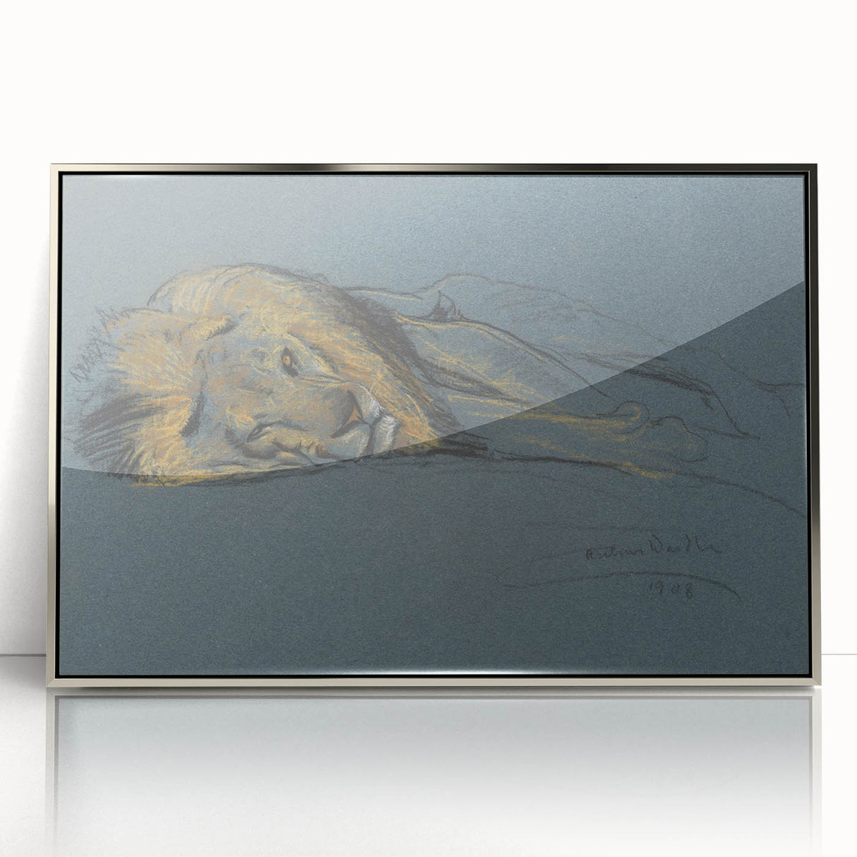 Vintage Animal Art - Resting Lion Antique Wildlife Sketch