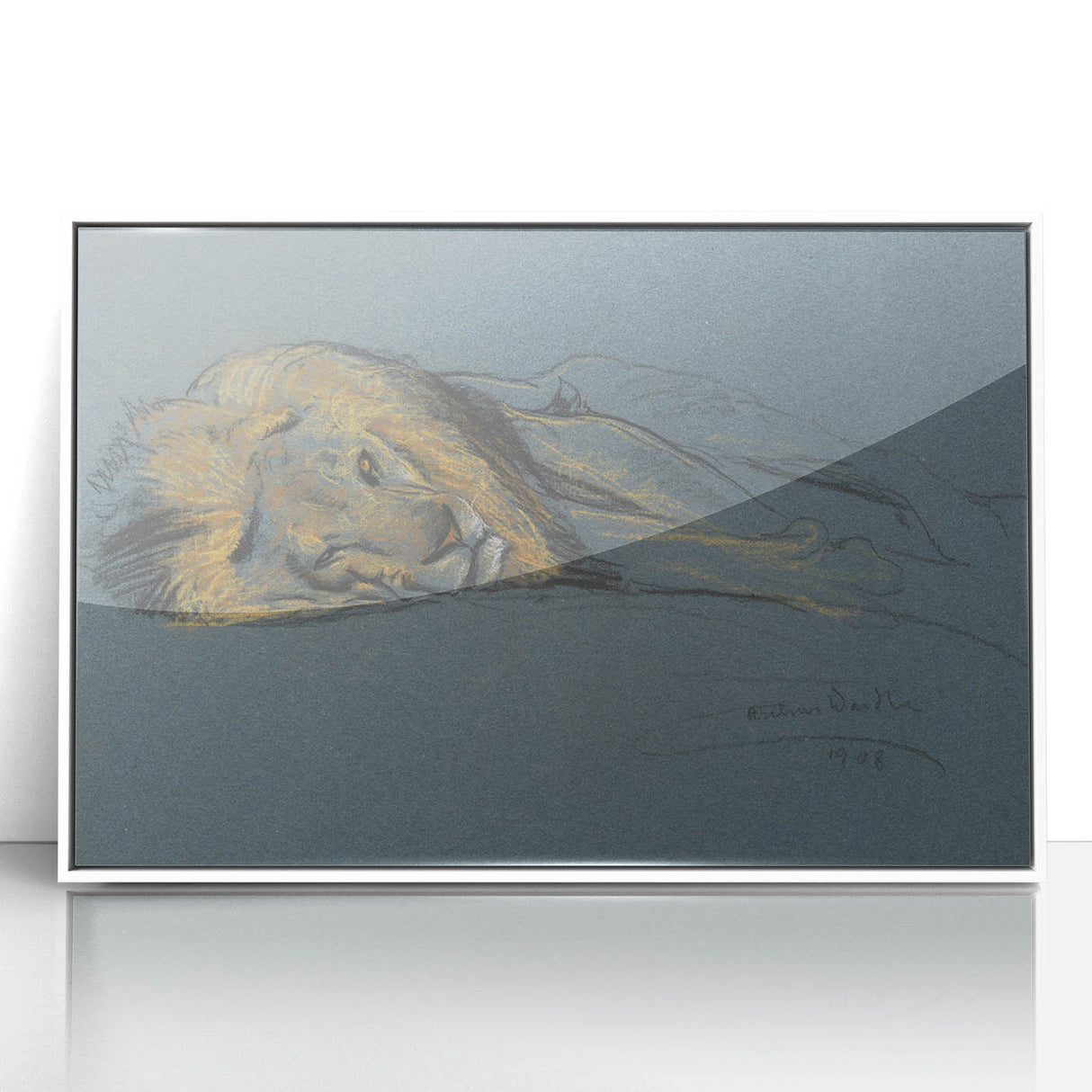 Vintage Animal Art - Resting Lion Antique Wildlife Sketch