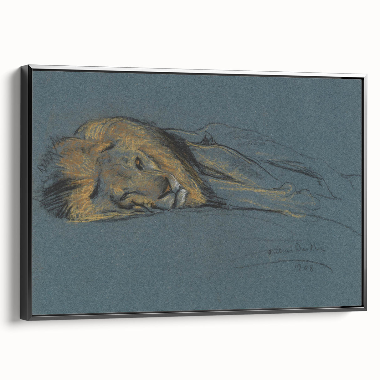Vintage Animal Art - Resting Lion Antique Wildlife Sketch