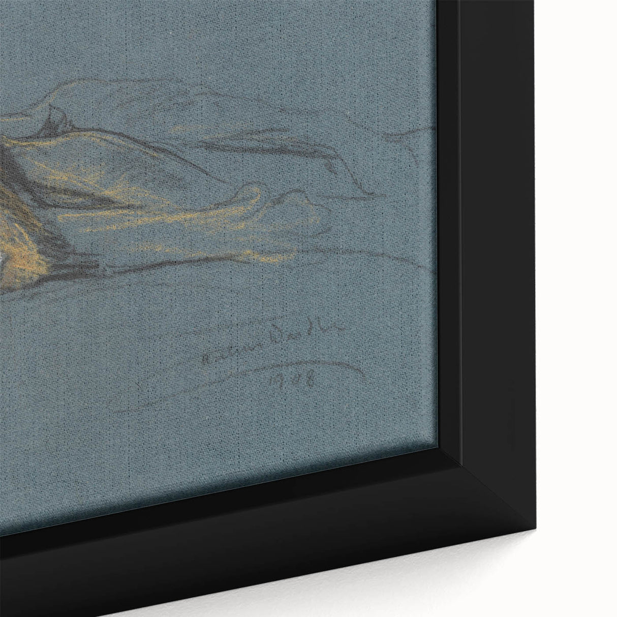 Vintage Animal Art - Resting Lion Antique Wildlife Sketch