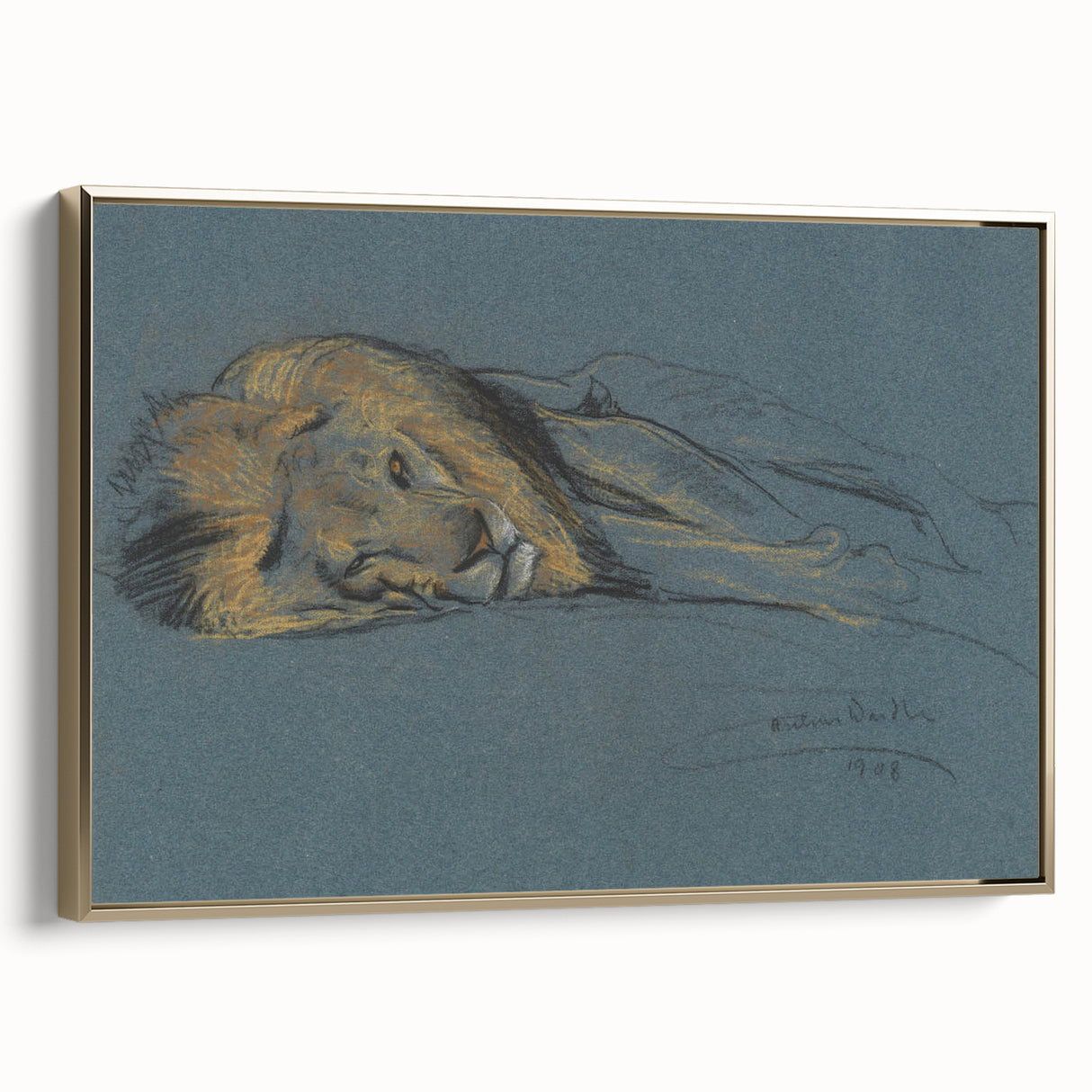 Vintage Animal Art - Resting Lion Antique Wildlife Sketch