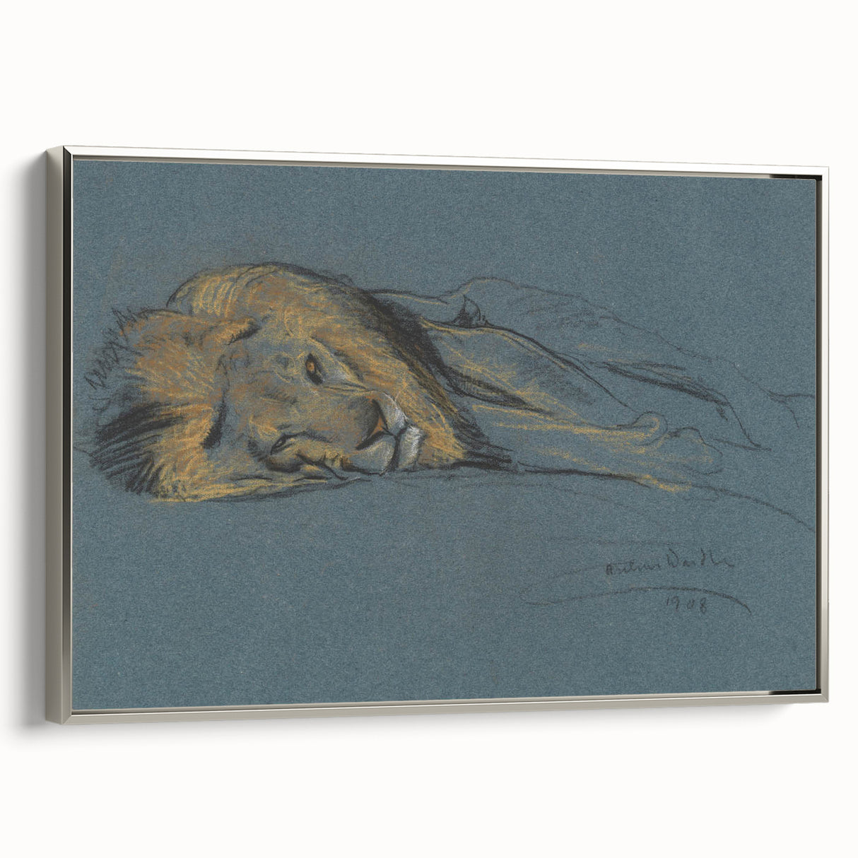 Vintage Animal Art - Resting Lion Antique Wildlife Sketch