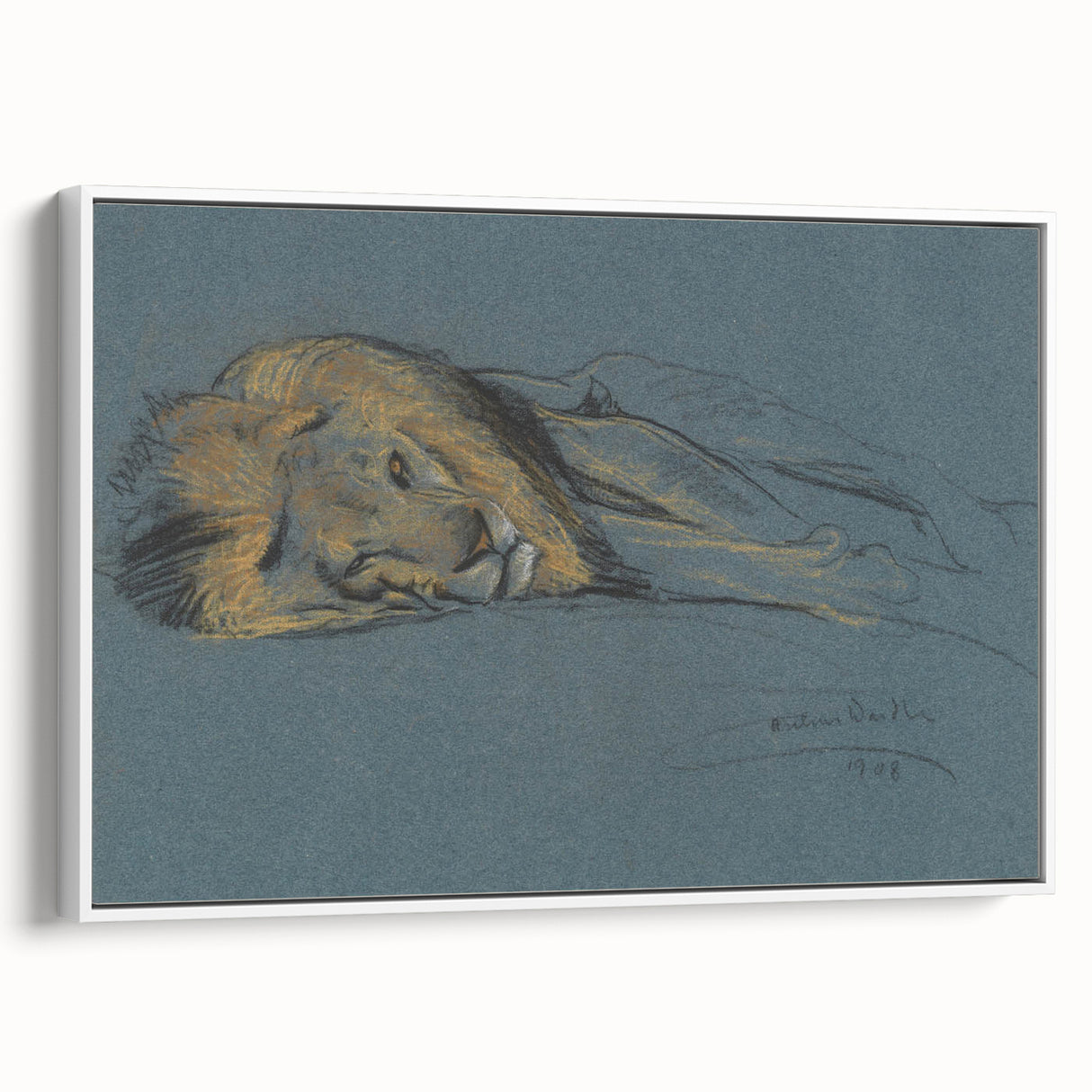 Vintage Animal Art - Resting Lion Antique Wildlife Sketch