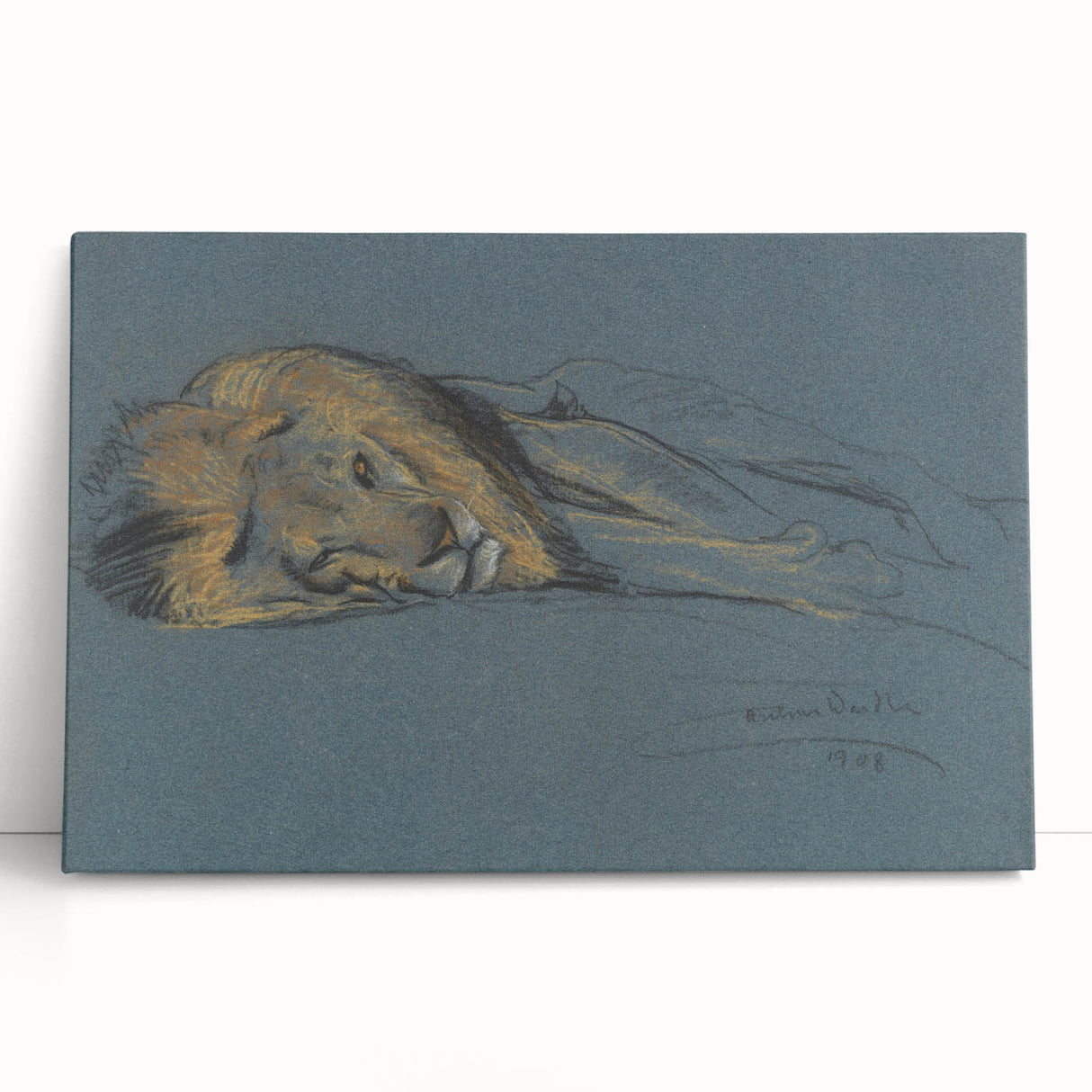 Vintage Animal Art - Resting Lion Antique Wildlife Sketch