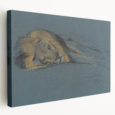 Vintage Animal Art - Resting Lion Antique Wildlife Sketch