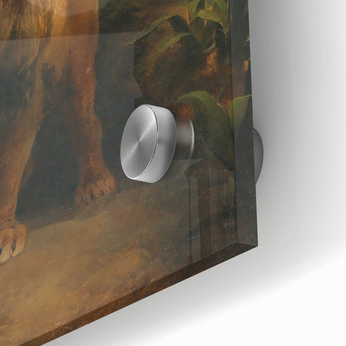 Vintage Animal Art - Majestic Lion at Dusk Antique Wildlife Print