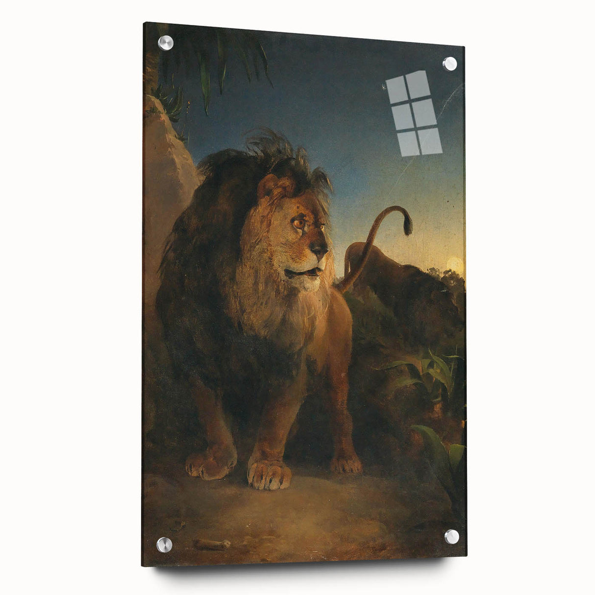 Vintage Animal Art - Majestic Lion at Dusk Antique Wildlife Print