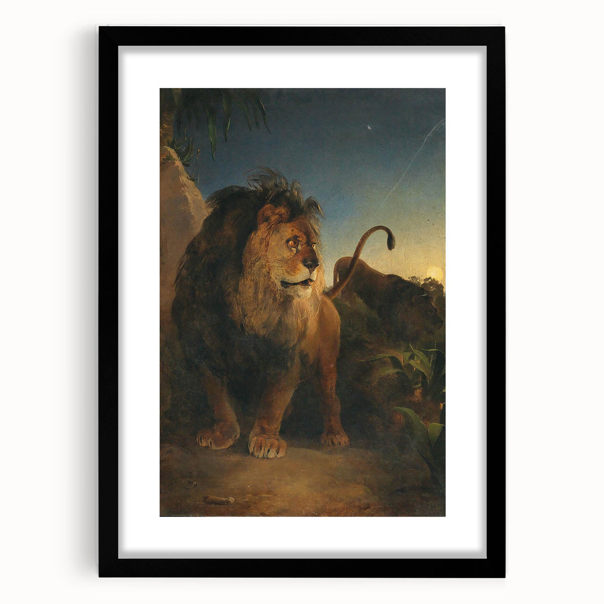 Vintage Animal Art - Majestic Lion at Dusk Antique Wildlife Print