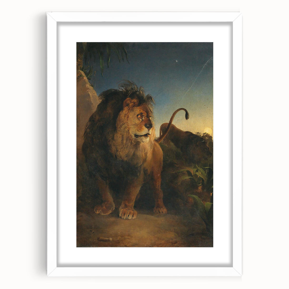 Vintage Animal Art - Majestic Lion at Dusk Antique Wildlife Print