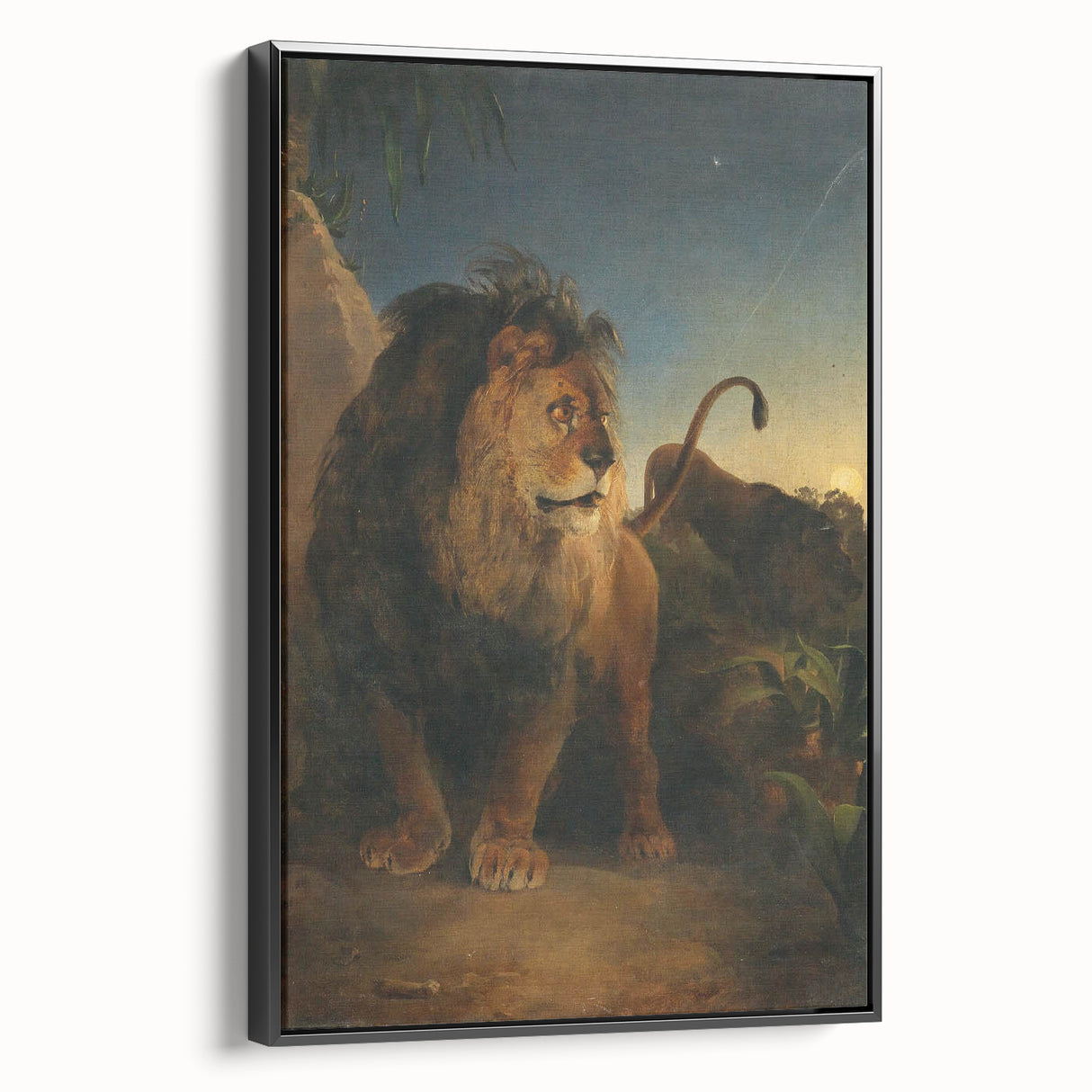 Vintage Animal Art - Majestic Lion at Dusk Antique Wildlife Print