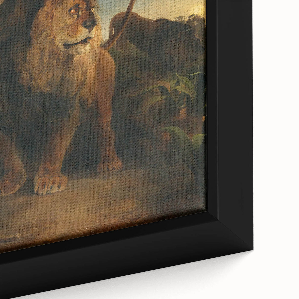 Vintage Animal Art - Majestic Lion at Dusk Antique Wildlife Print