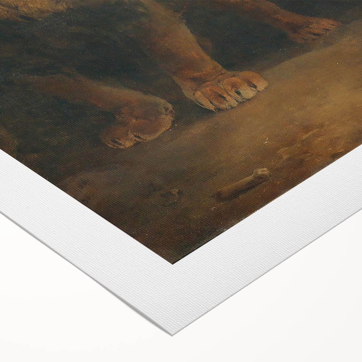 Vintage Animal Art - Majestic Lion at Dusk Antique Wildlife Print