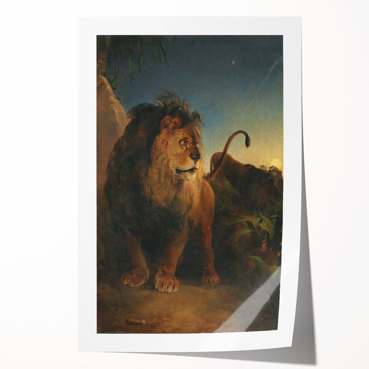 Vintage Animal Art - Majestic Lion at Dusk Antique Wildlife Print