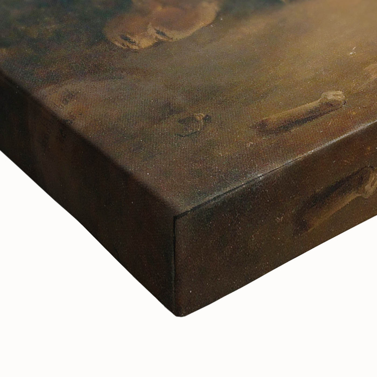 Vintage Animal Art - Majestic Lion at Dusk Antique Wildlife Print