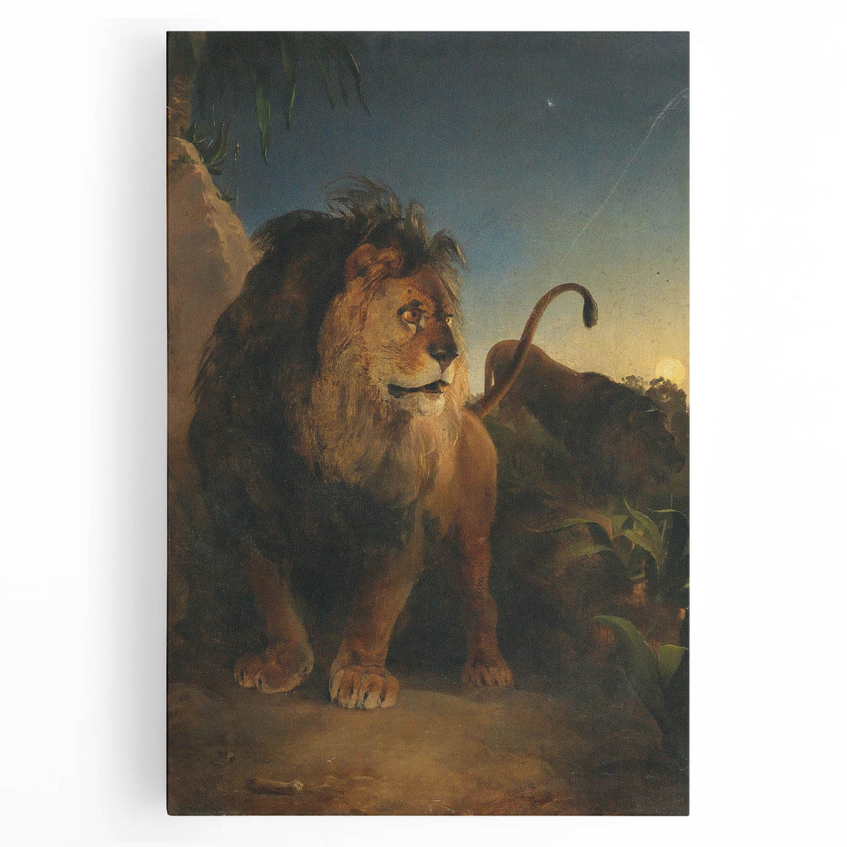 Vintage Animal Art - Majestic Lion at Dusk Antique Wildlife Print