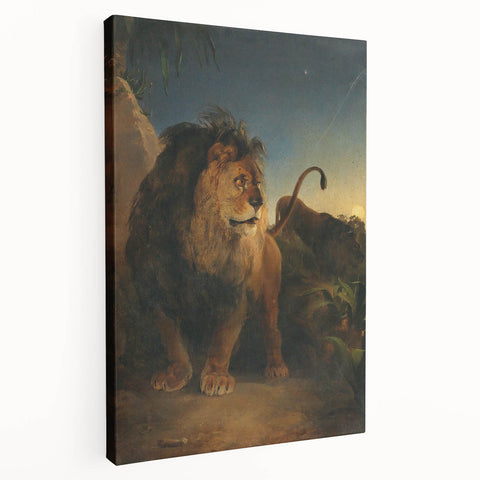 Vintage Animal Art - Majestic Lion at Dusk Antique Wildlife Print