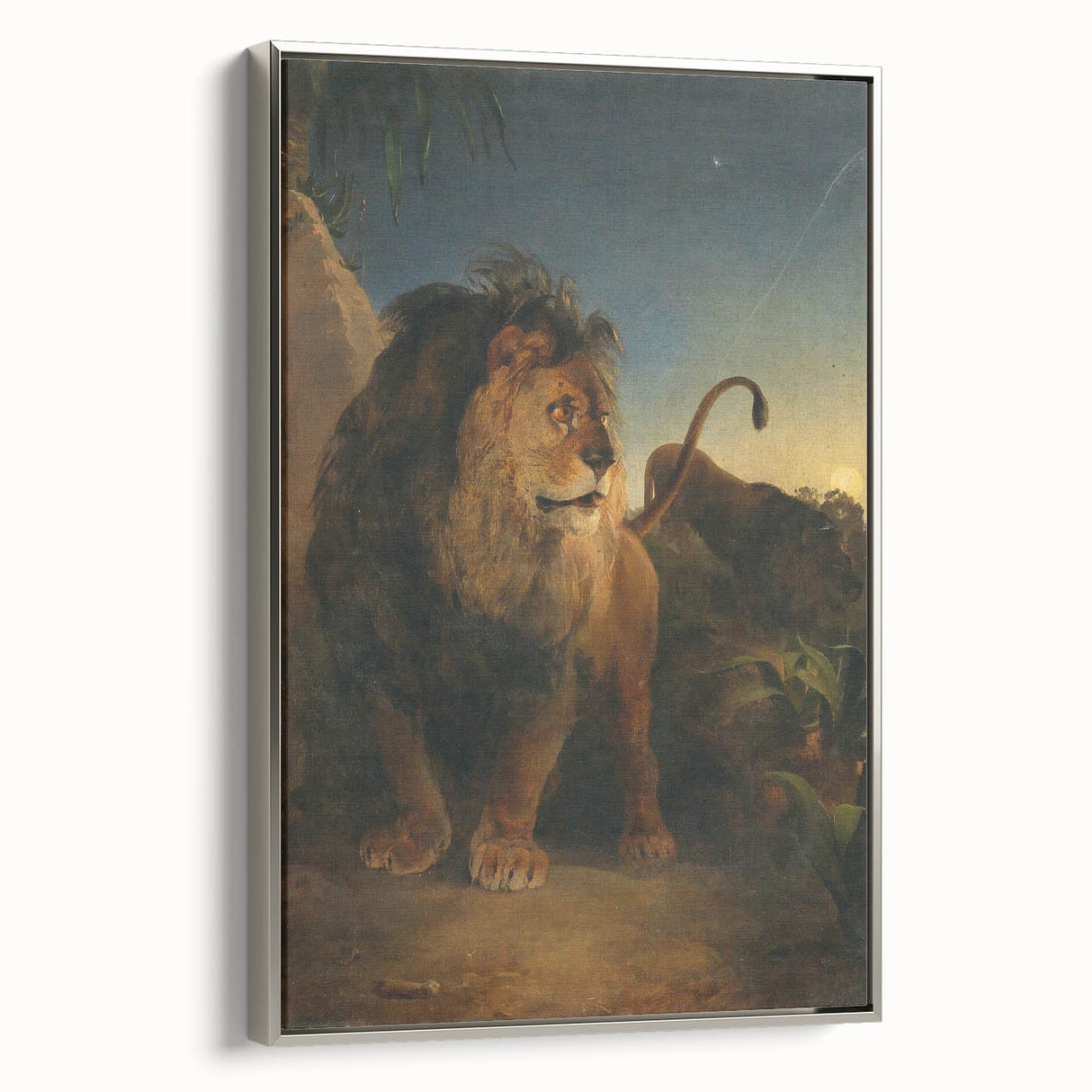 Vintage Animal Art - Majestic Lion at Dusk Antique Wildlife Print