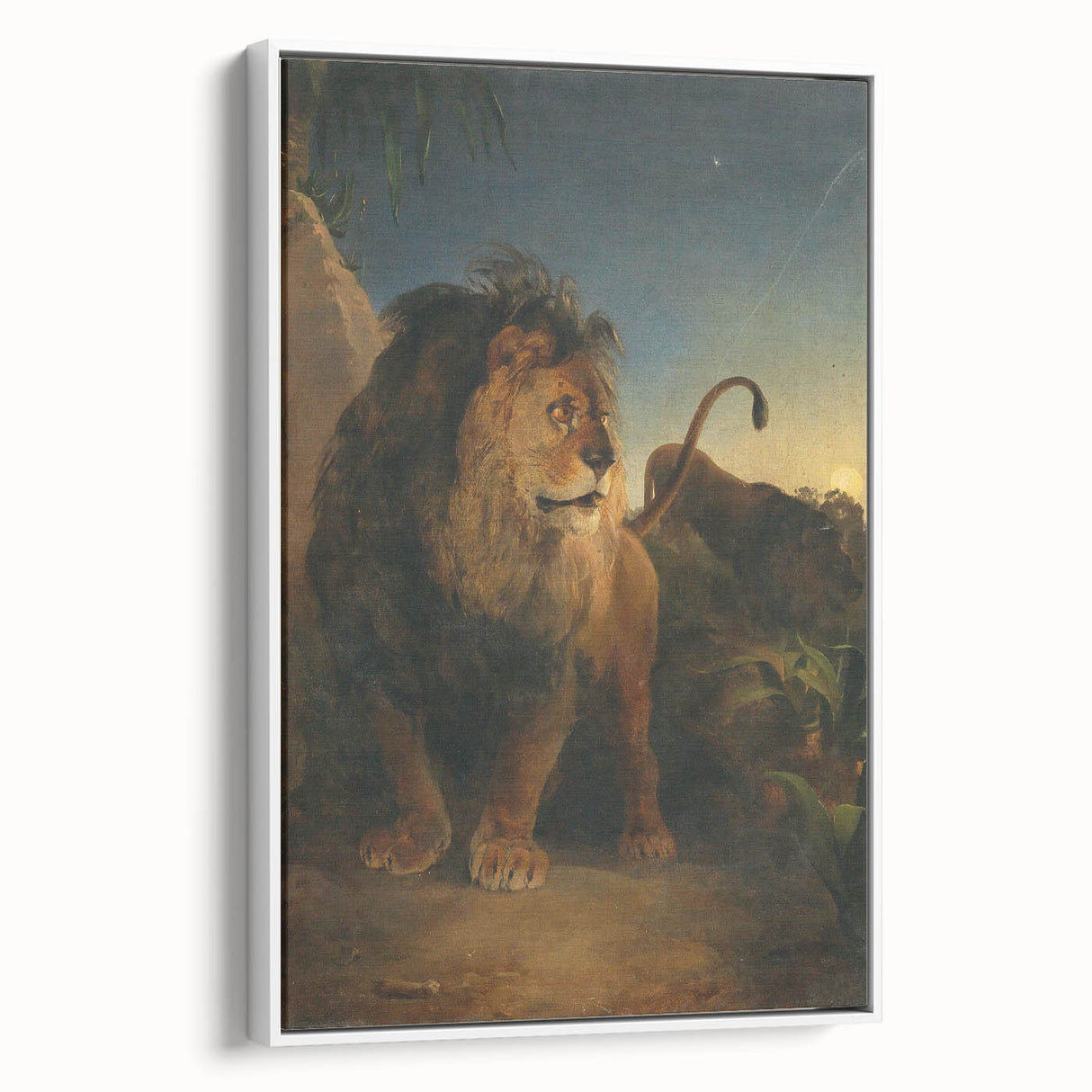 Vintage Animal Art - Majestic Lion at Dusk Antique Wildlife Print