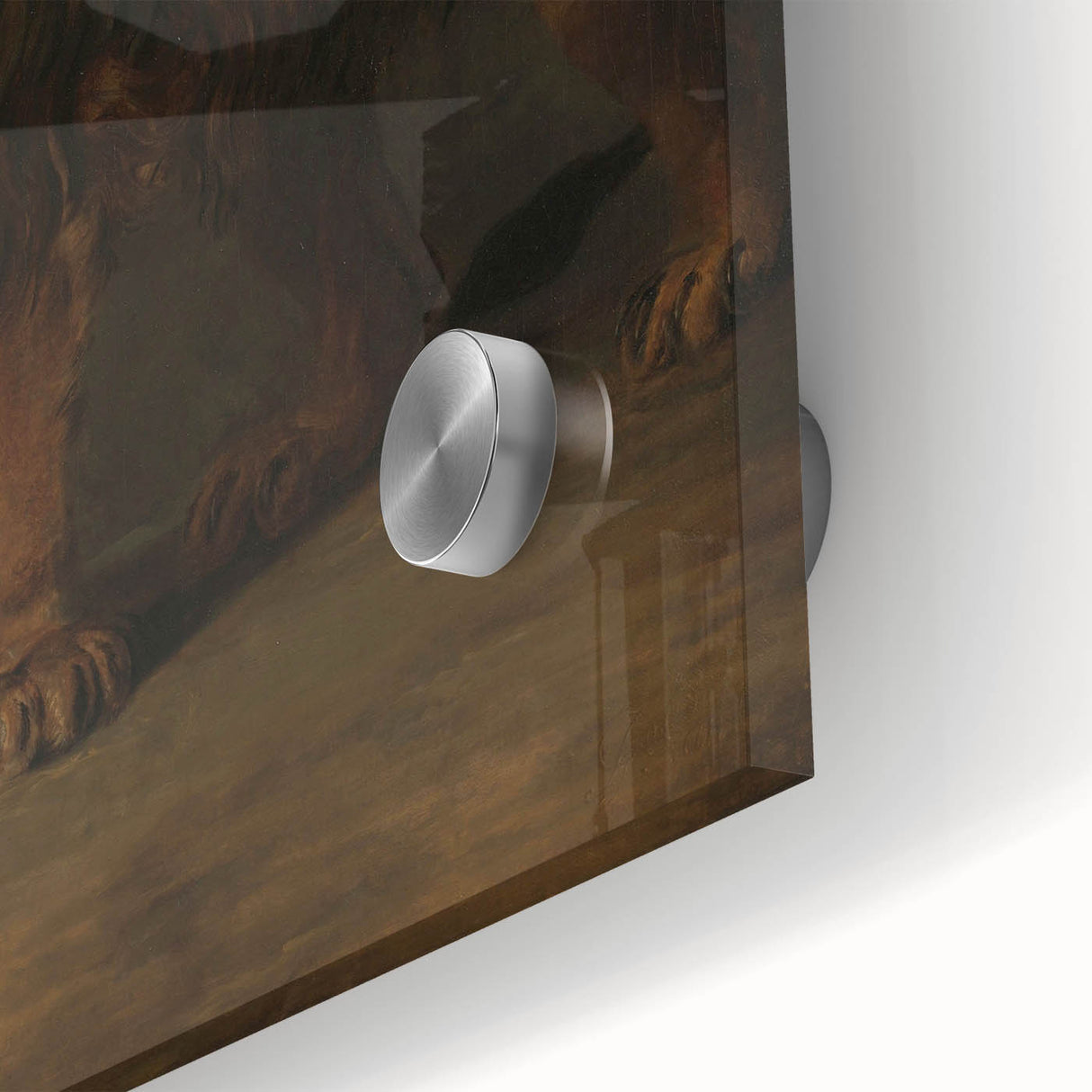 Vintage Animal Art - Fierce Lion Antique Wildlife Print