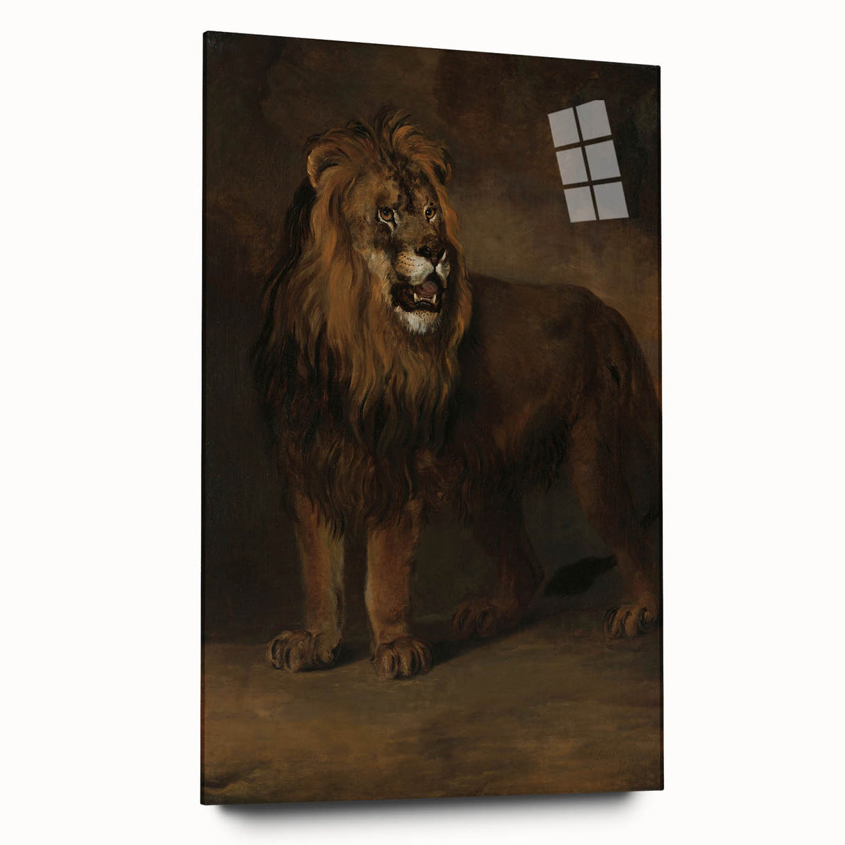 Vintage Animal Art - Fierce Lion Antique Wildlife Print