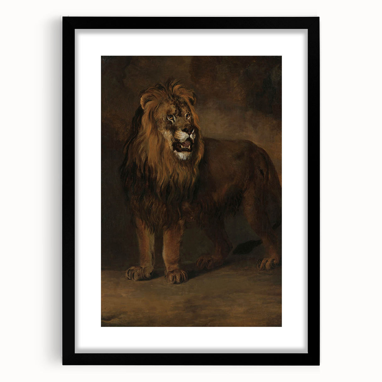 Vintage Animal Art - Fierce Lion Antique Wildlife Print