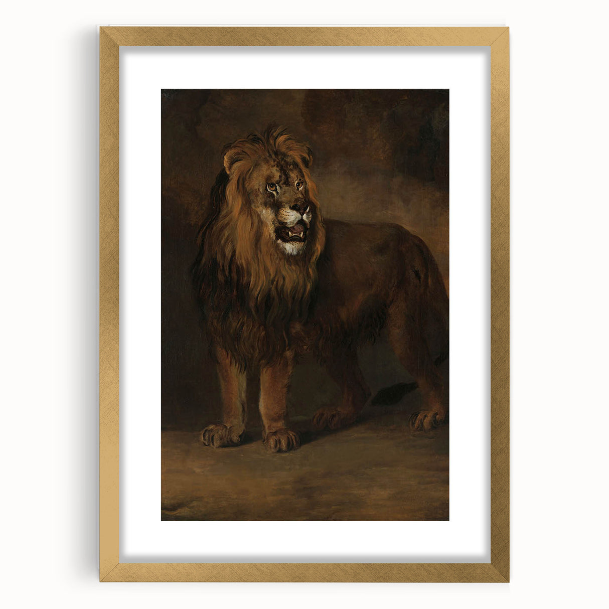 Vintage Animal Art - Fierce Lion Antique Wildlife Print