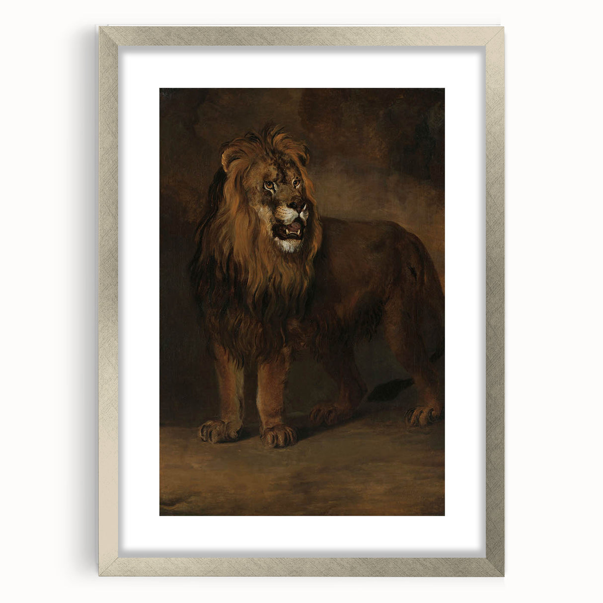 Vintage Animal Art - Fierce Lion Antique Wildlife Print