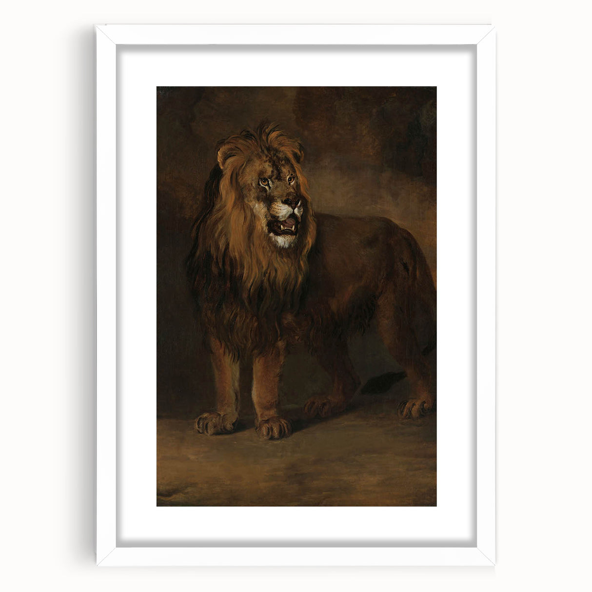 Vintage Animal Art - Fierce Lion Antique Wildlife Print