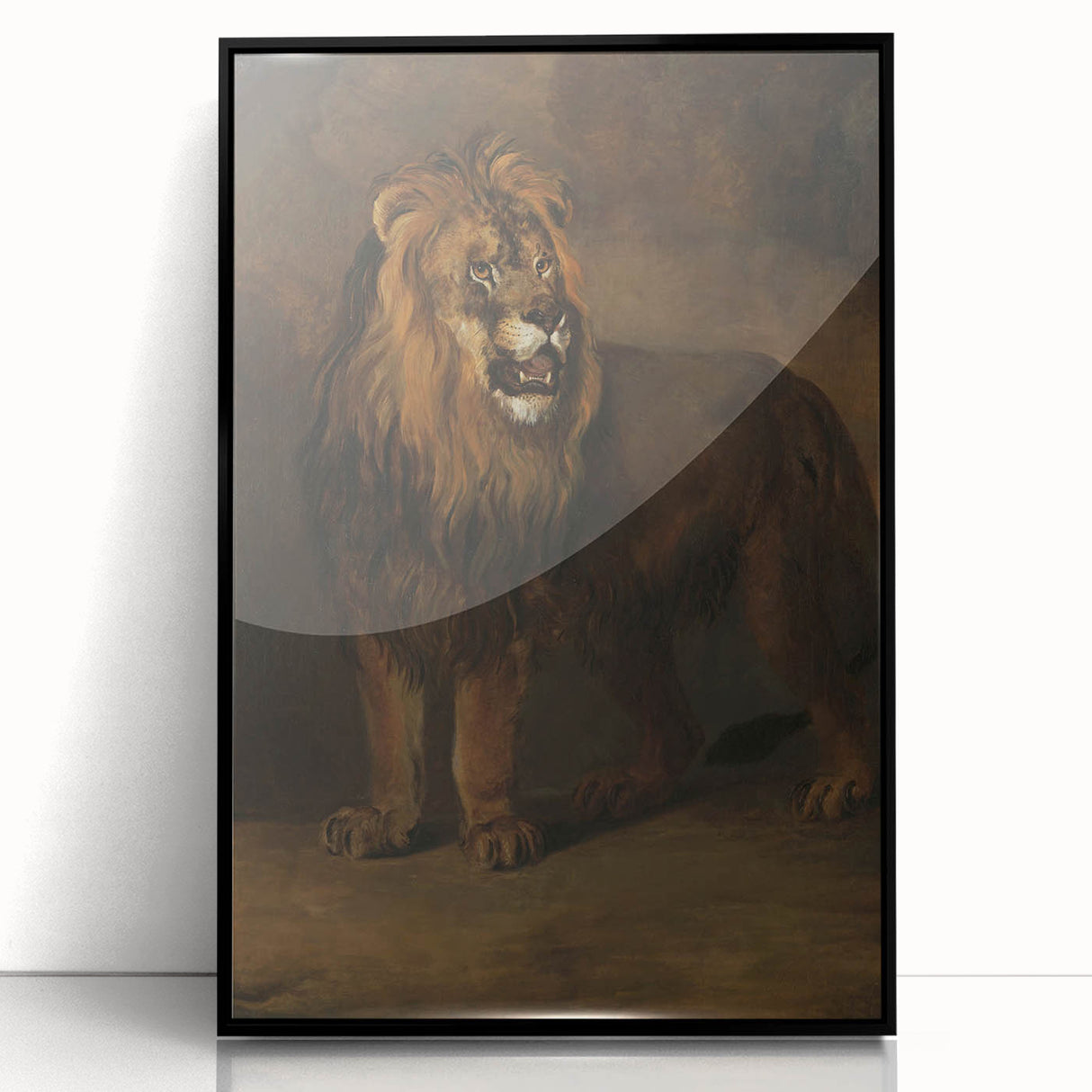 Vintage Animal Art - Fierce Lion Antique Wildlife Print