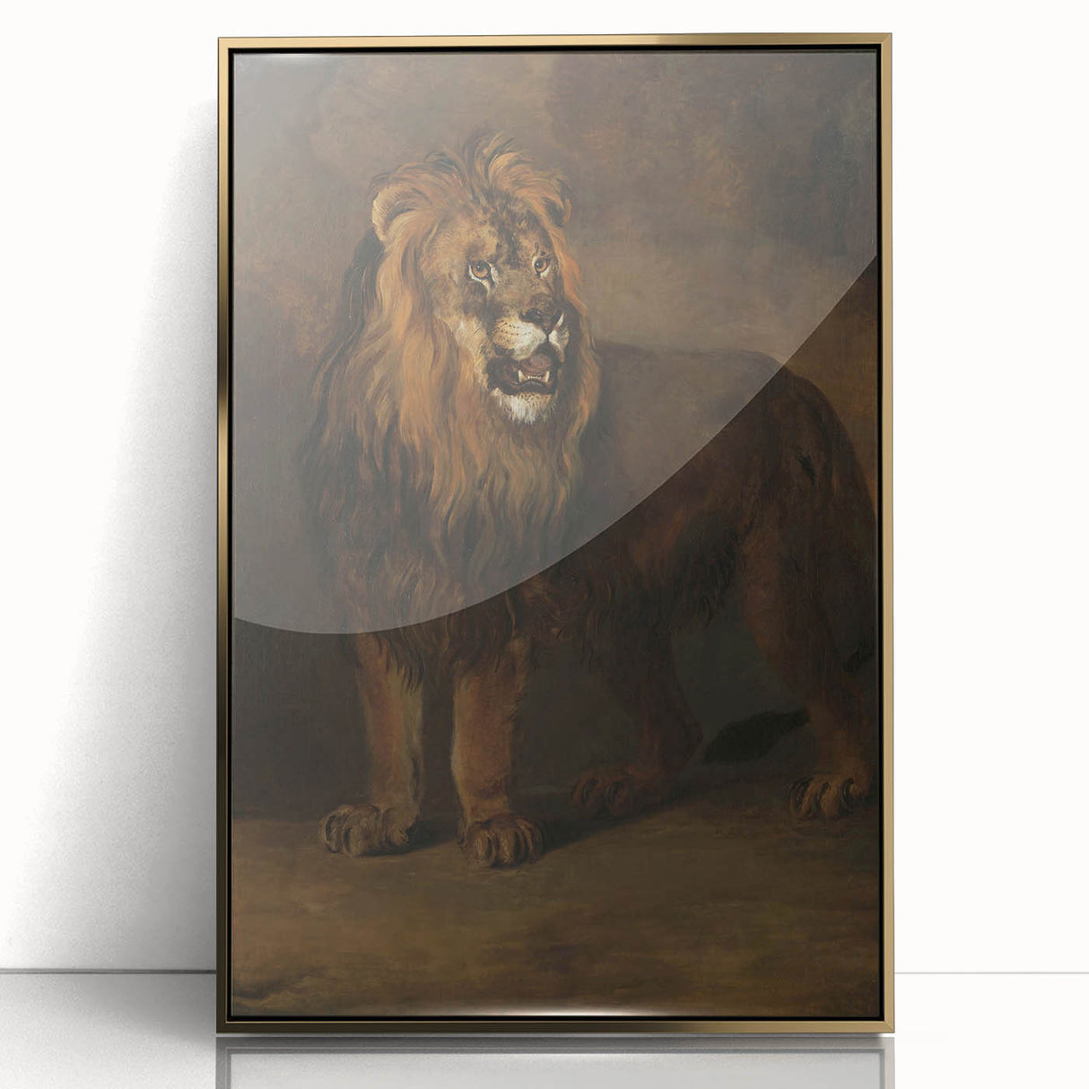 Vintage Animal Art - Fierce Lion Antique Wildlife Print