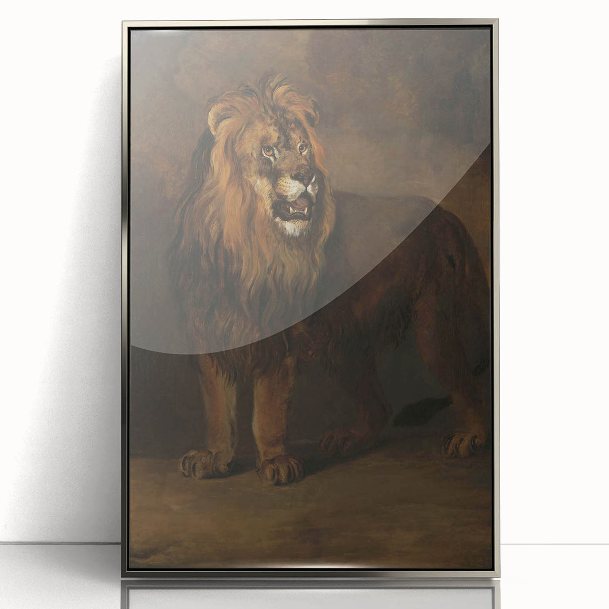 Vintage Animal Art - Fierce Lion Antique Wildlife Print
