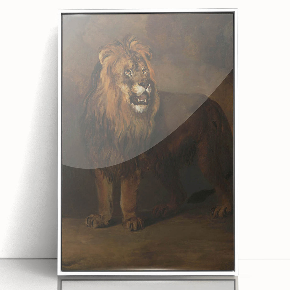 Vintage Animal Art - Fierce Lion Antique Wildlife Print