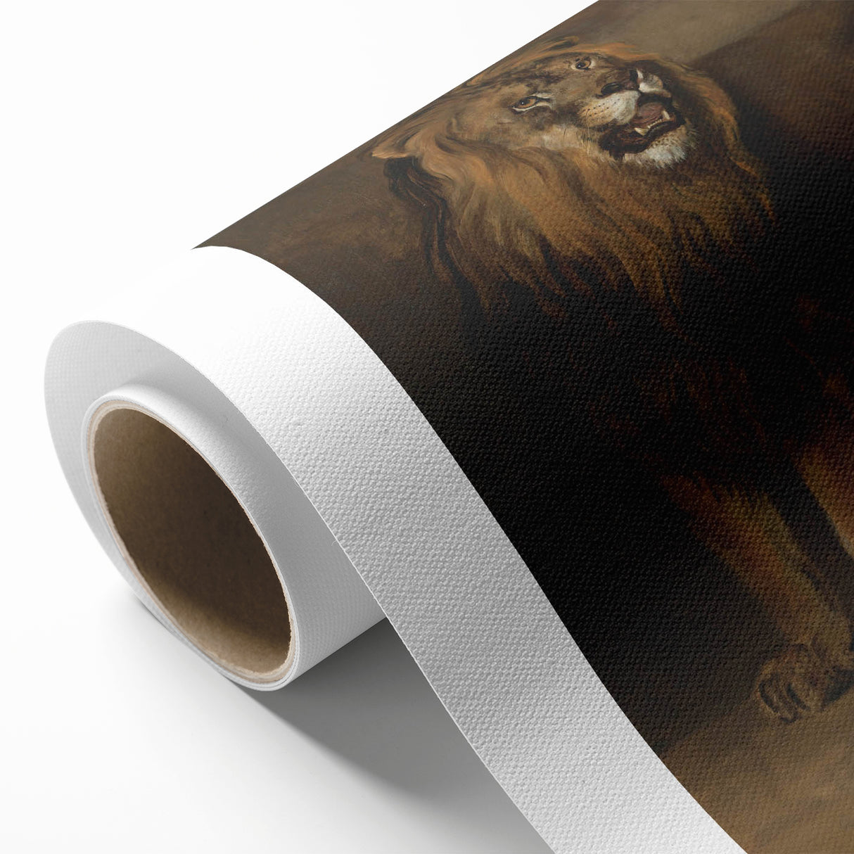 Vintage Animal Art - Fierce Lion Antique Wildlife Print