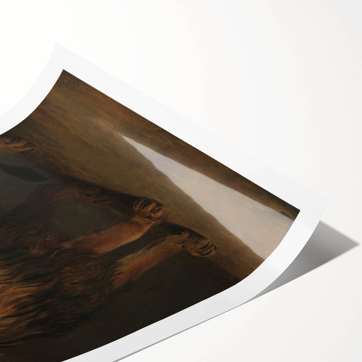 Vintage Animal Art - Fierce Lion Antique Wildlife Print