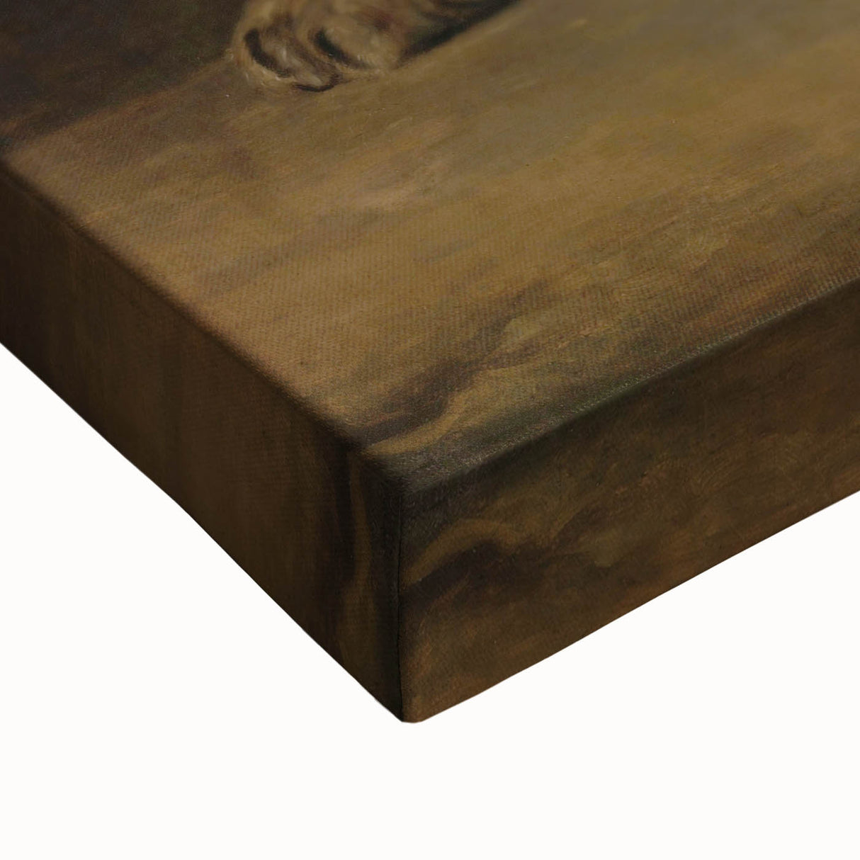 Vintage Animal Art - Fierce Lion Antique Wildlife Print