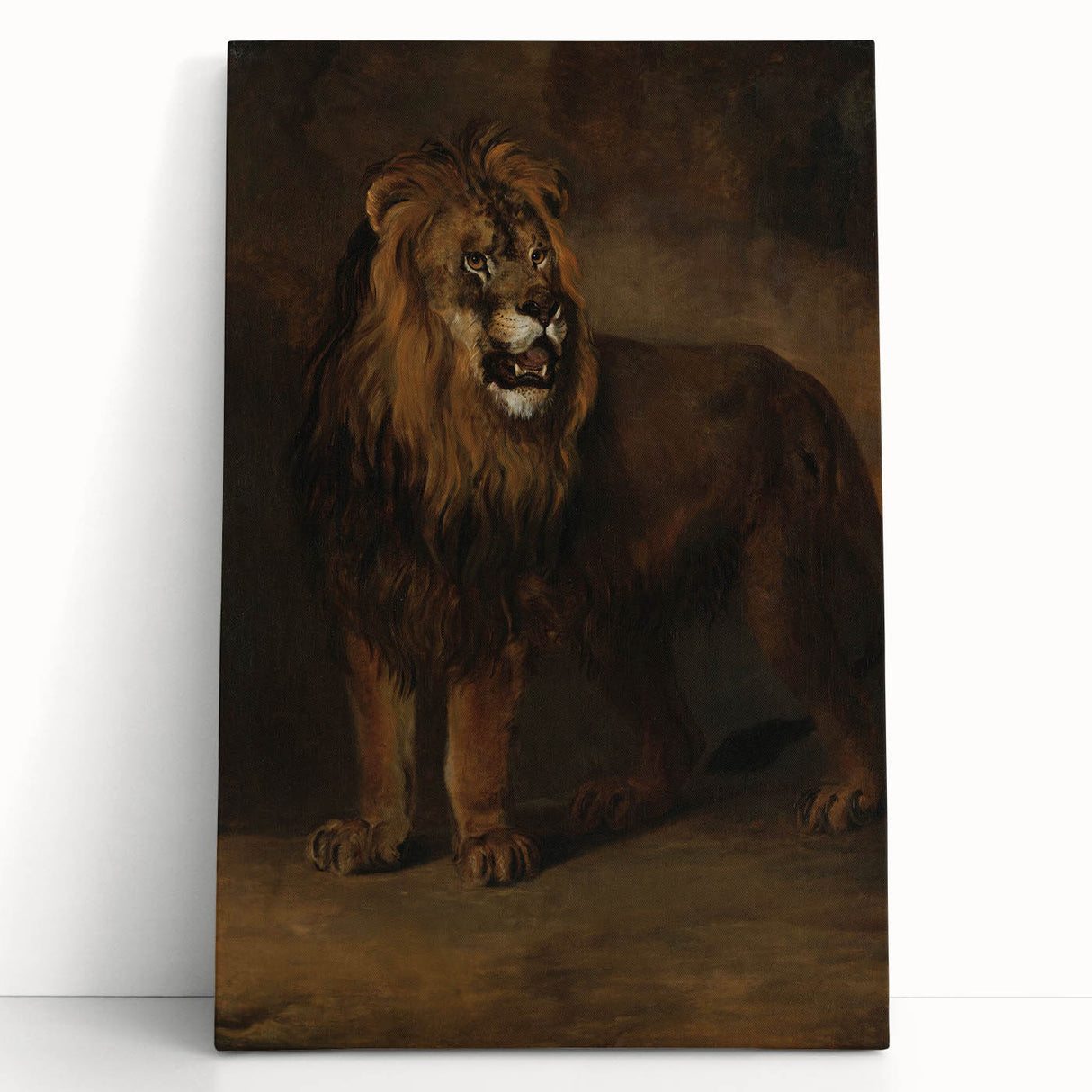 Vintage Animal Art - Fierce Lion Antique Wildlife Print